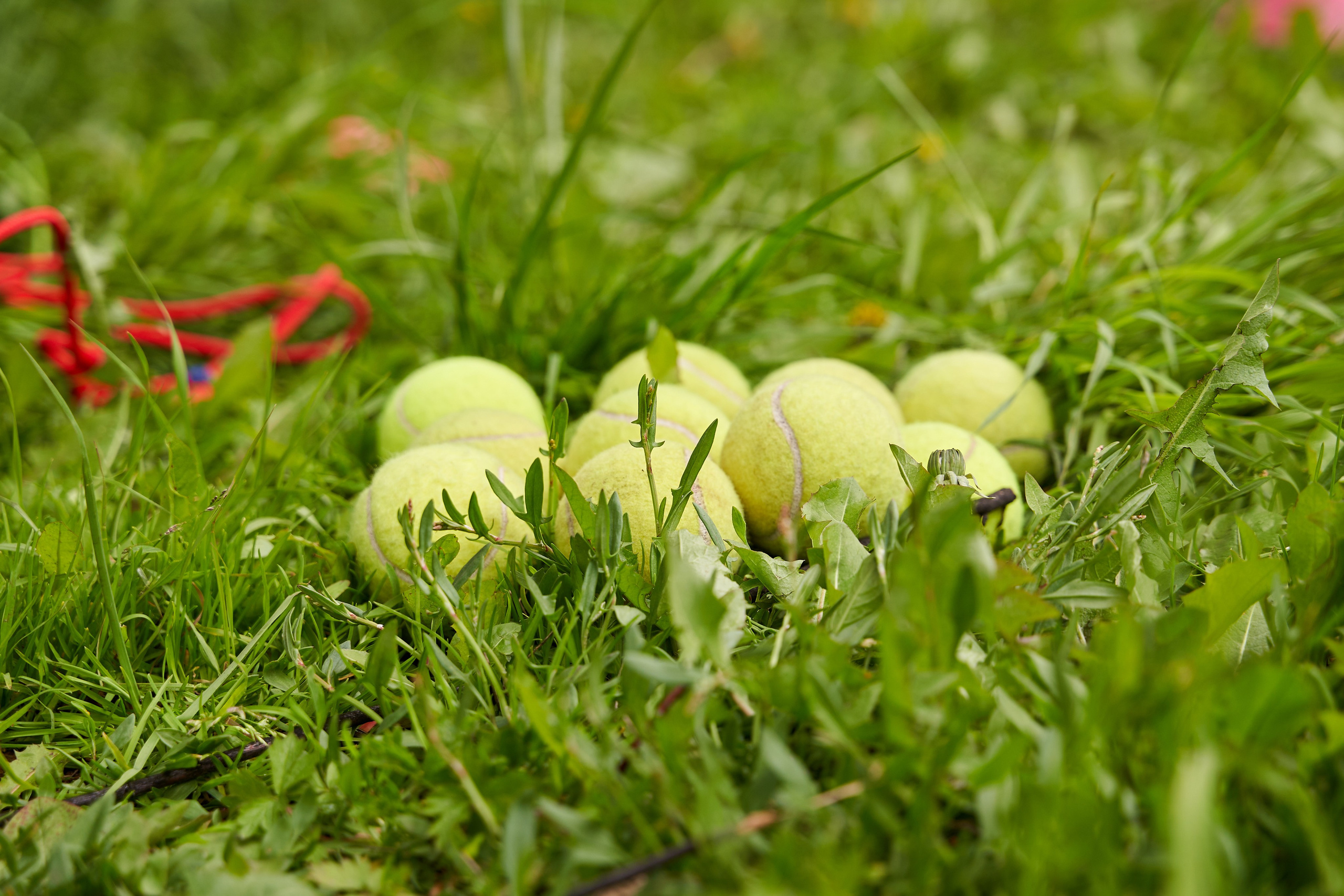 Городской квест в рамках регионального фестиваля «Учись без границ». Репортажный фотограф Вилянов Евгений. Нижний Новгород