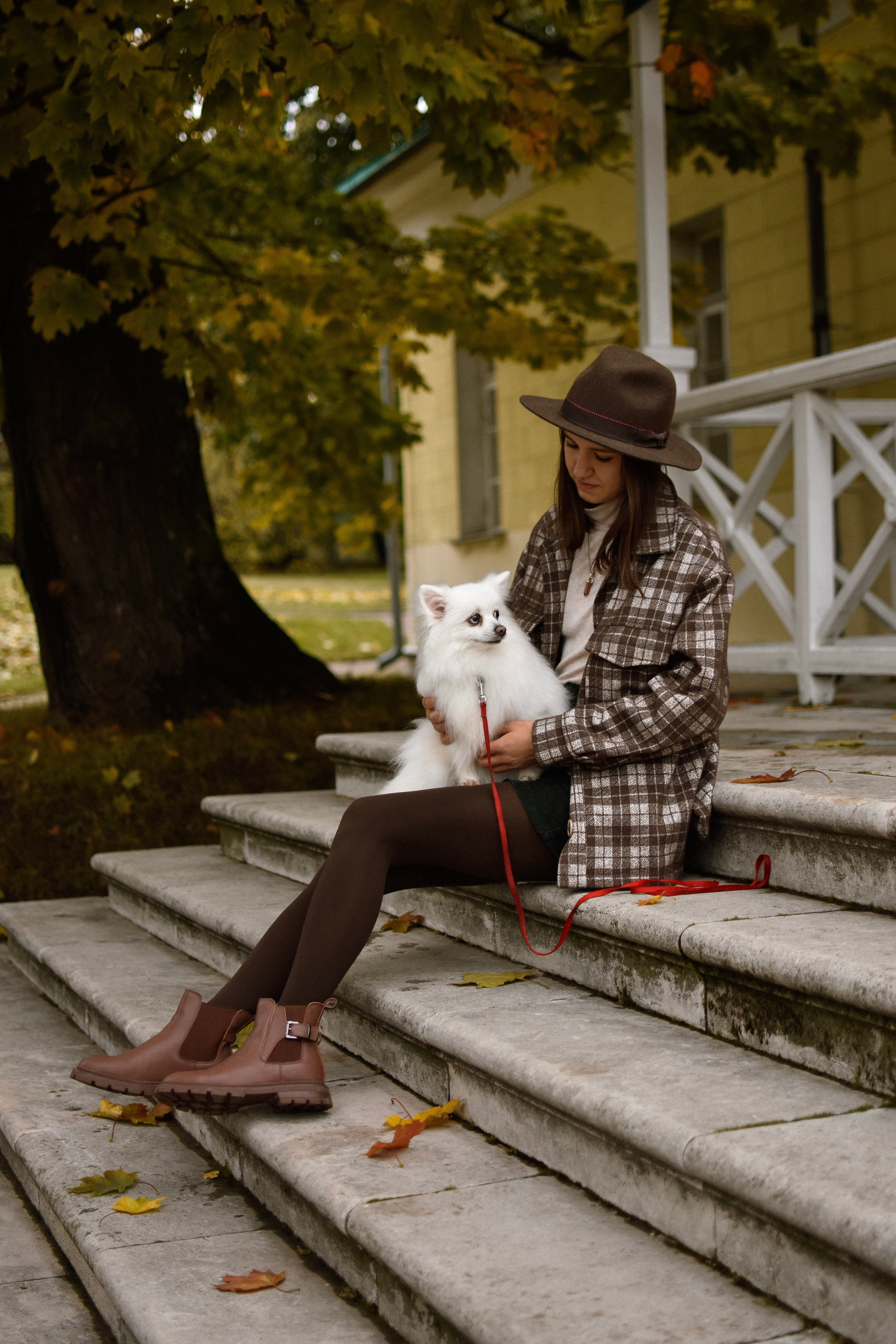 Анабель и Саша. Фотограф-анималист Ксения Шевцова|Москва
