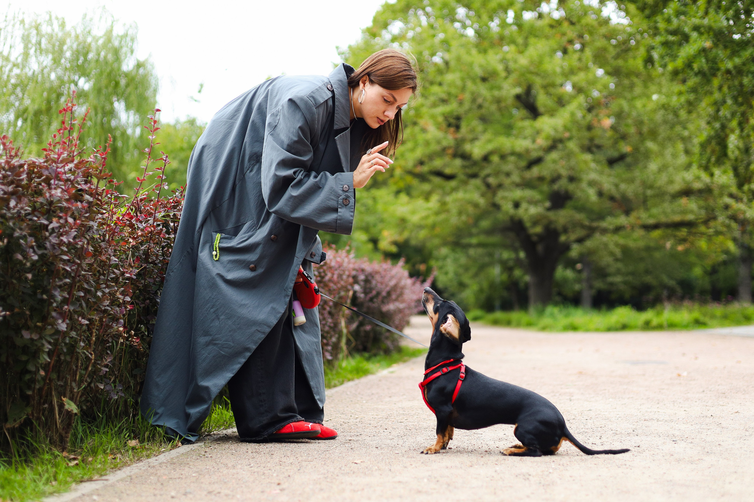 Моня и Оля. Фотограф-анималист Ксения Шевцова|Москва