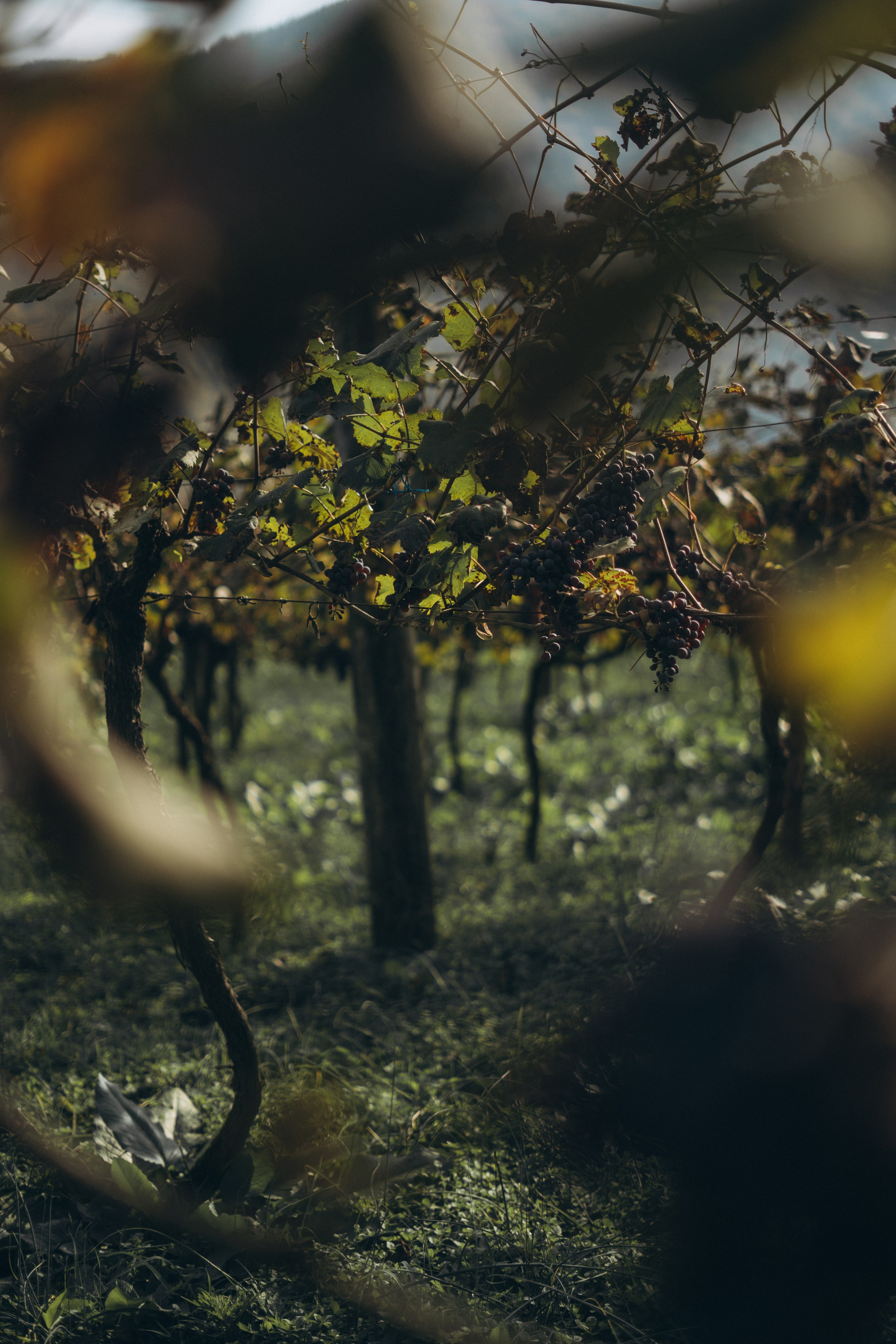 28. Фотограф Батуми | Ксения Кинасова