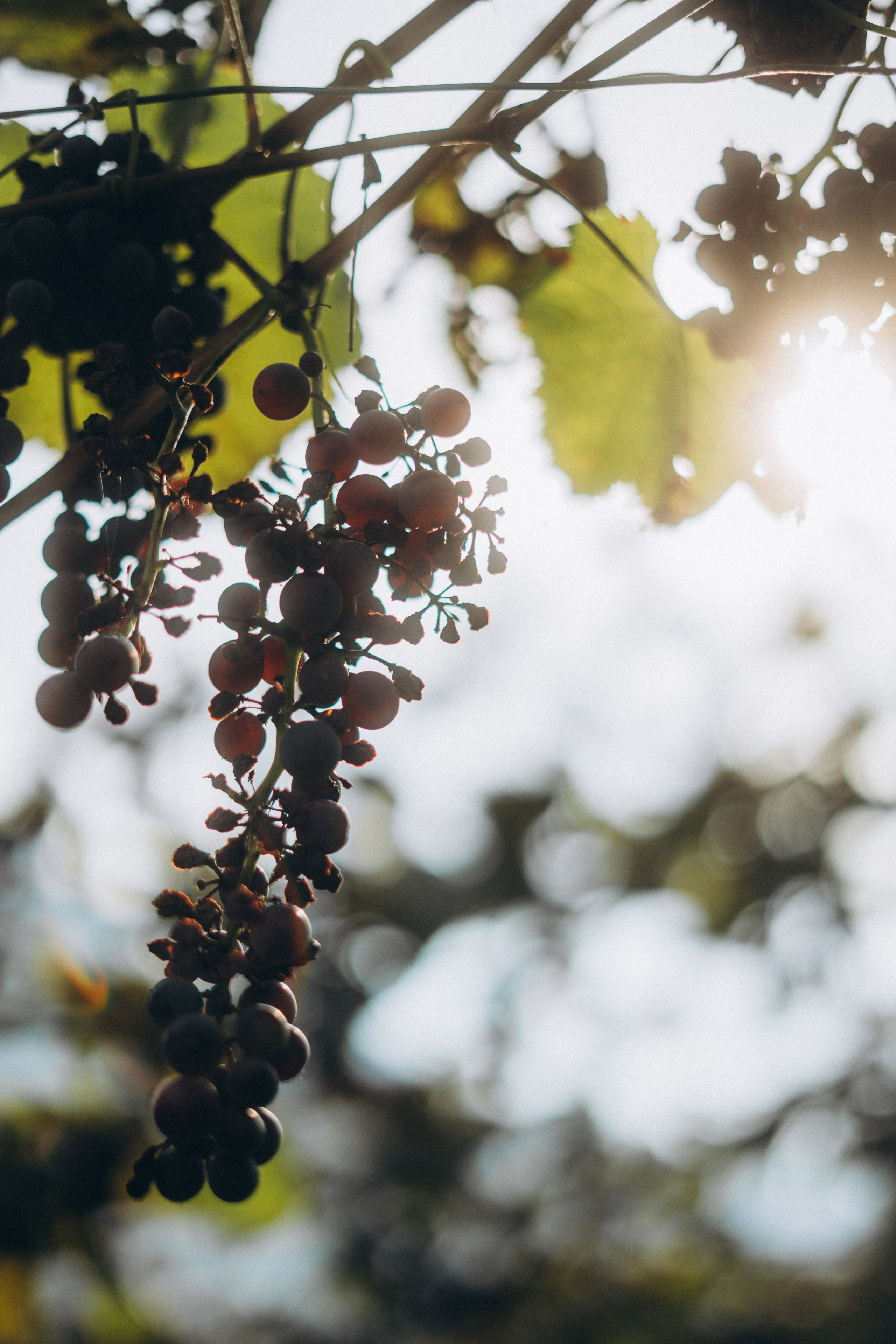 28. Фотограф Батуми | Ксения Кинасова