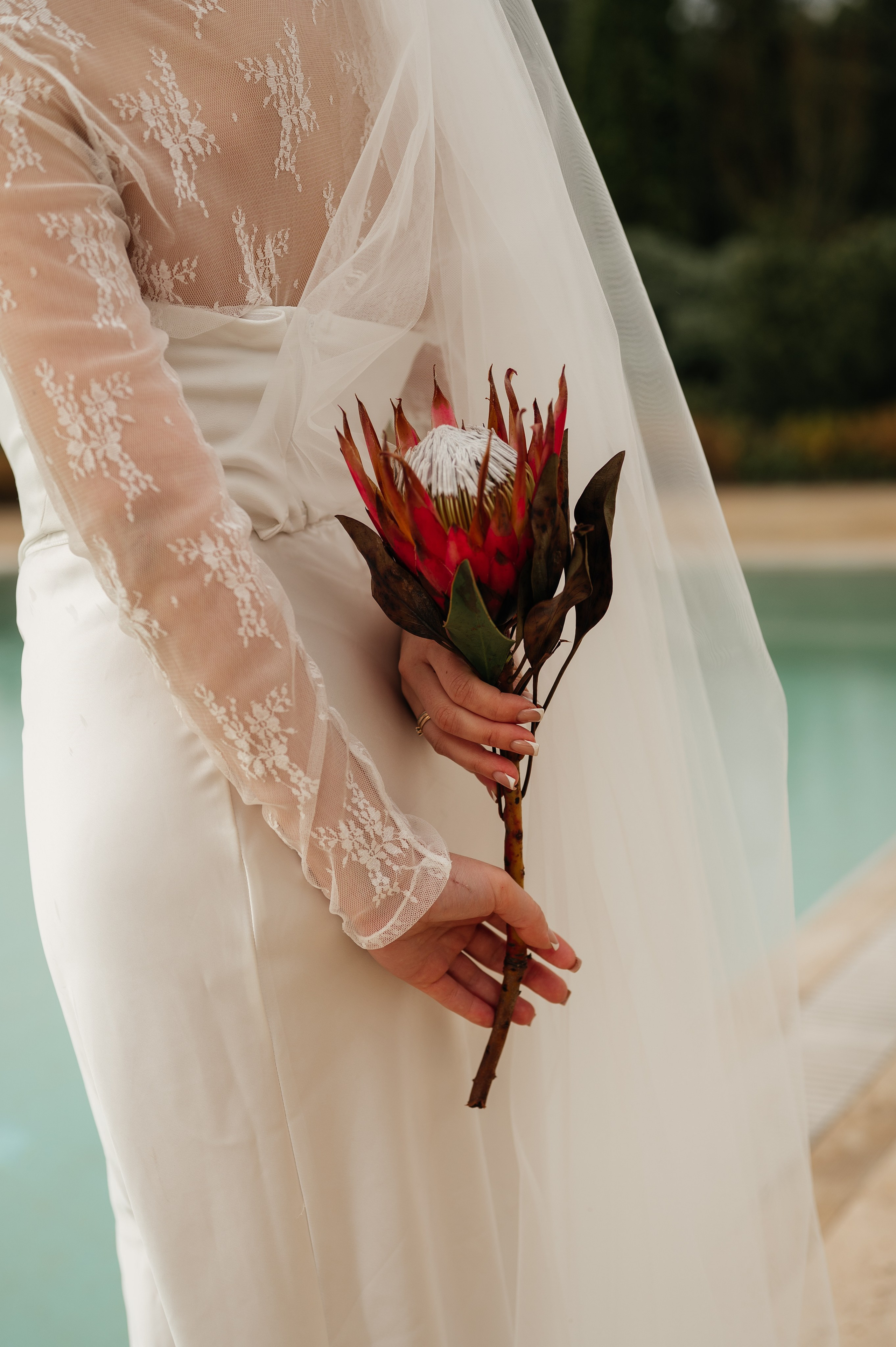 Леонид и Ольга. Свадебный и семейный фотограф в Краснодаре Алина Мельник