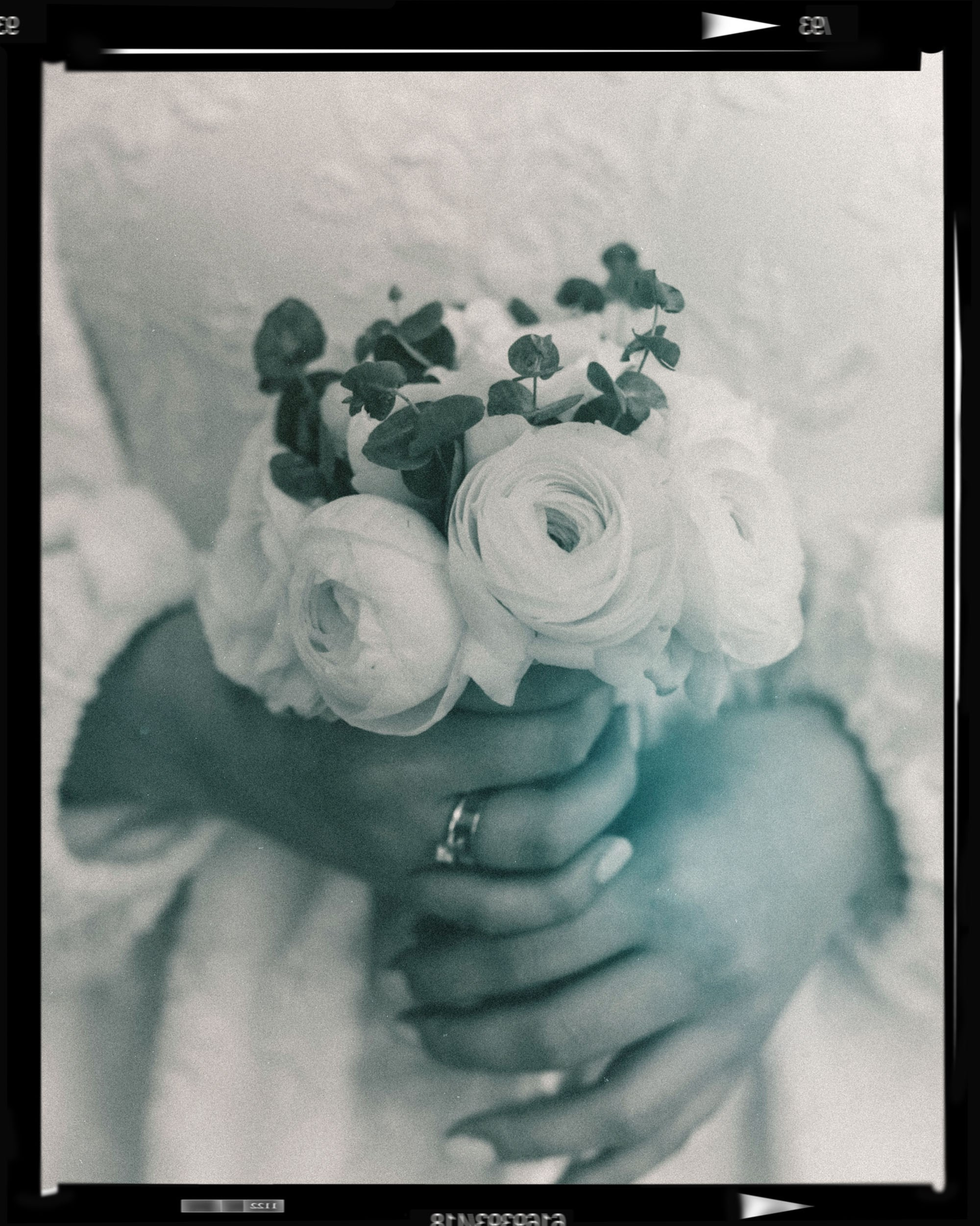 Ксения и Давид. Свадебный фотограф в Москве Сафонова Анна