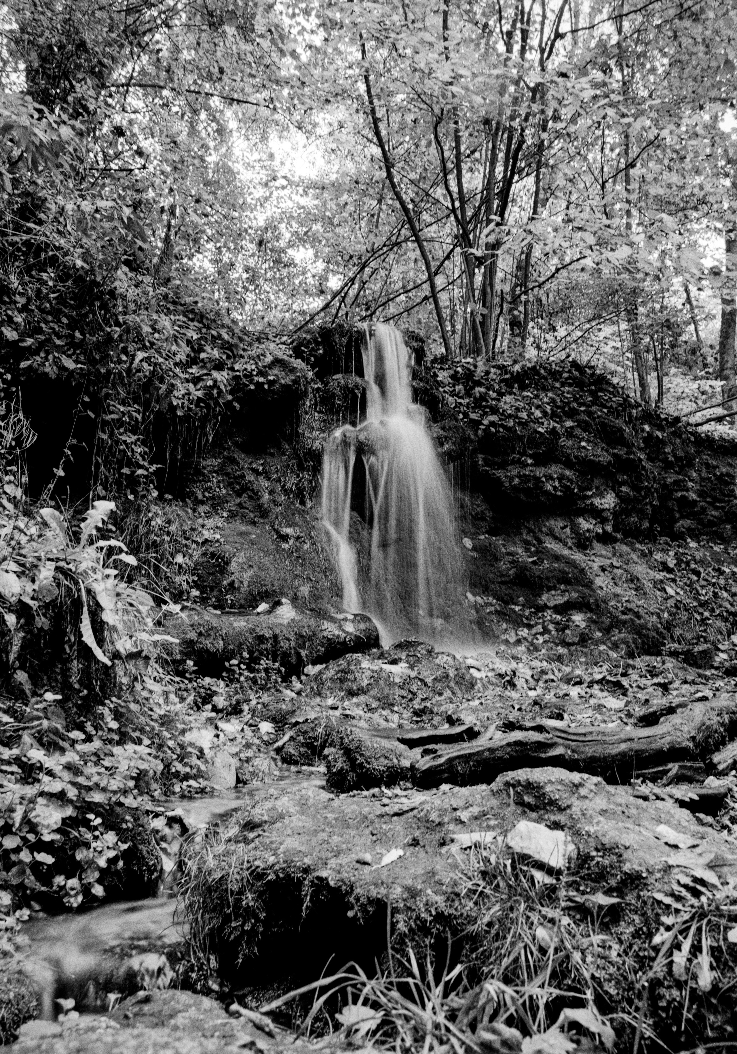 Prints. Maria Abdullaeva