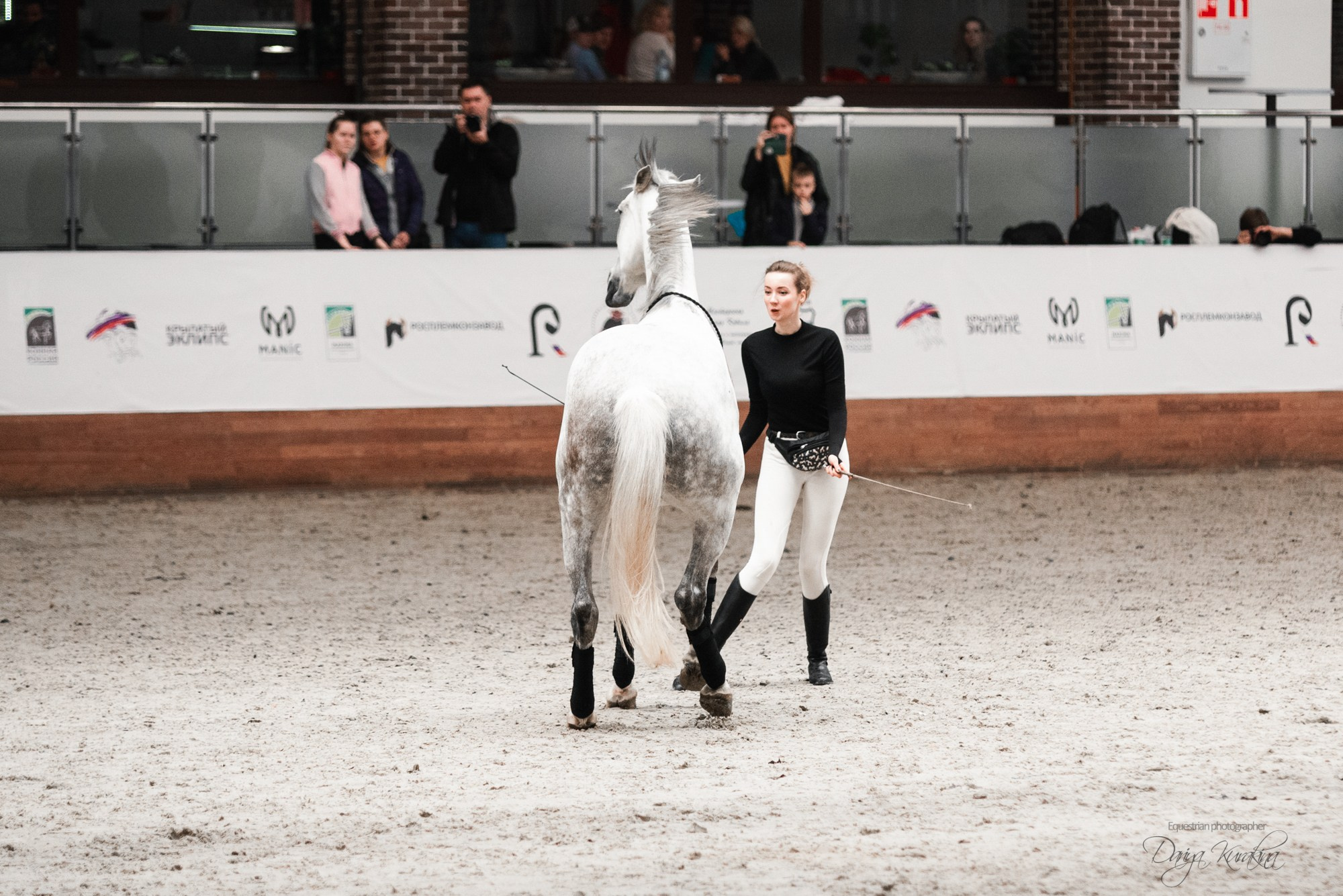 8-я международная выставка Конная Россия. Конный фотограф Куракина Дарья • Фотосессии с лошадьми