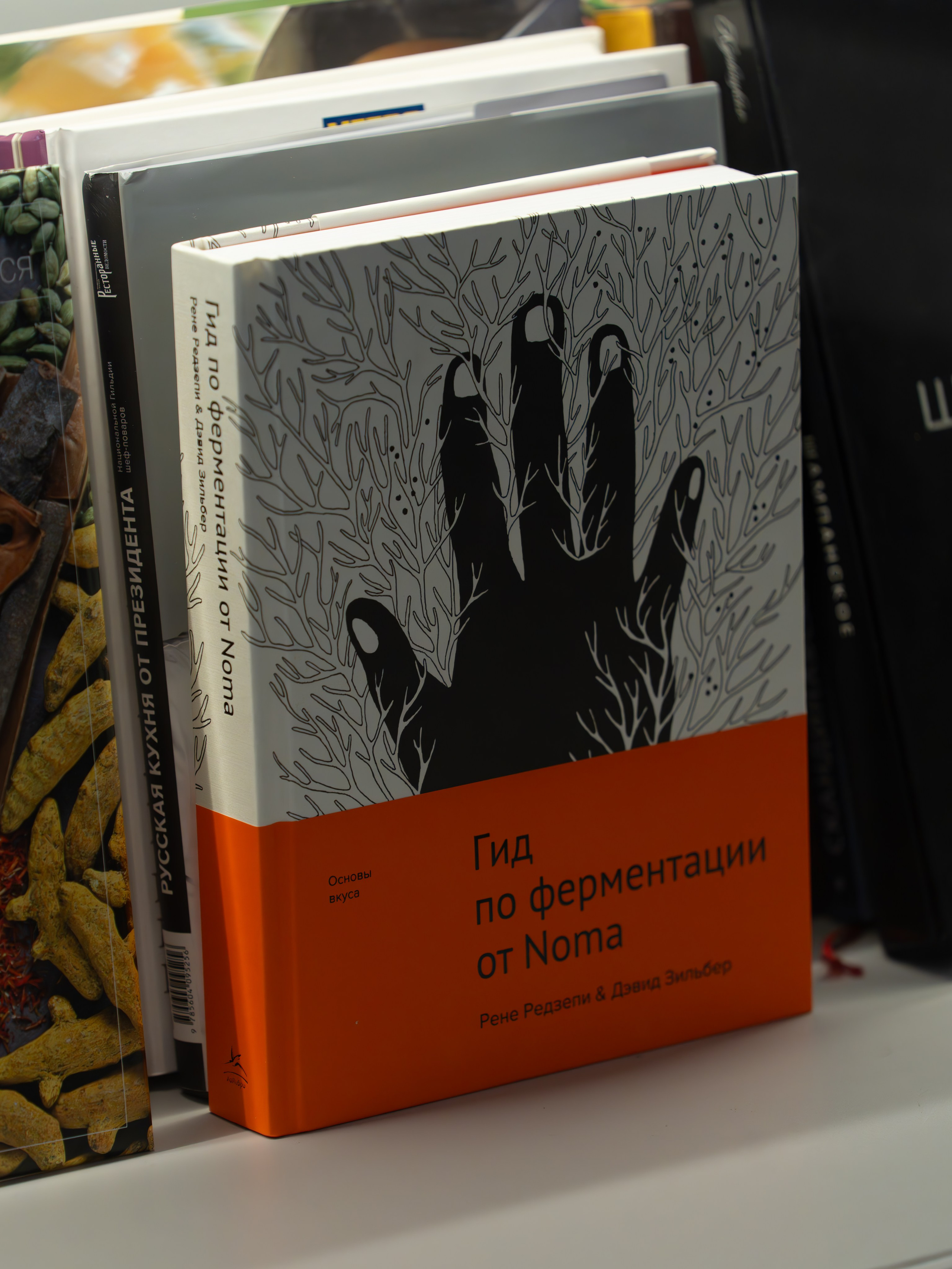 Литературная мастерская с Ольгой Шутовой в «Винотеррии». Репортажный фотограф в Красной Поляне и Сочи Павлюченко Екатерина