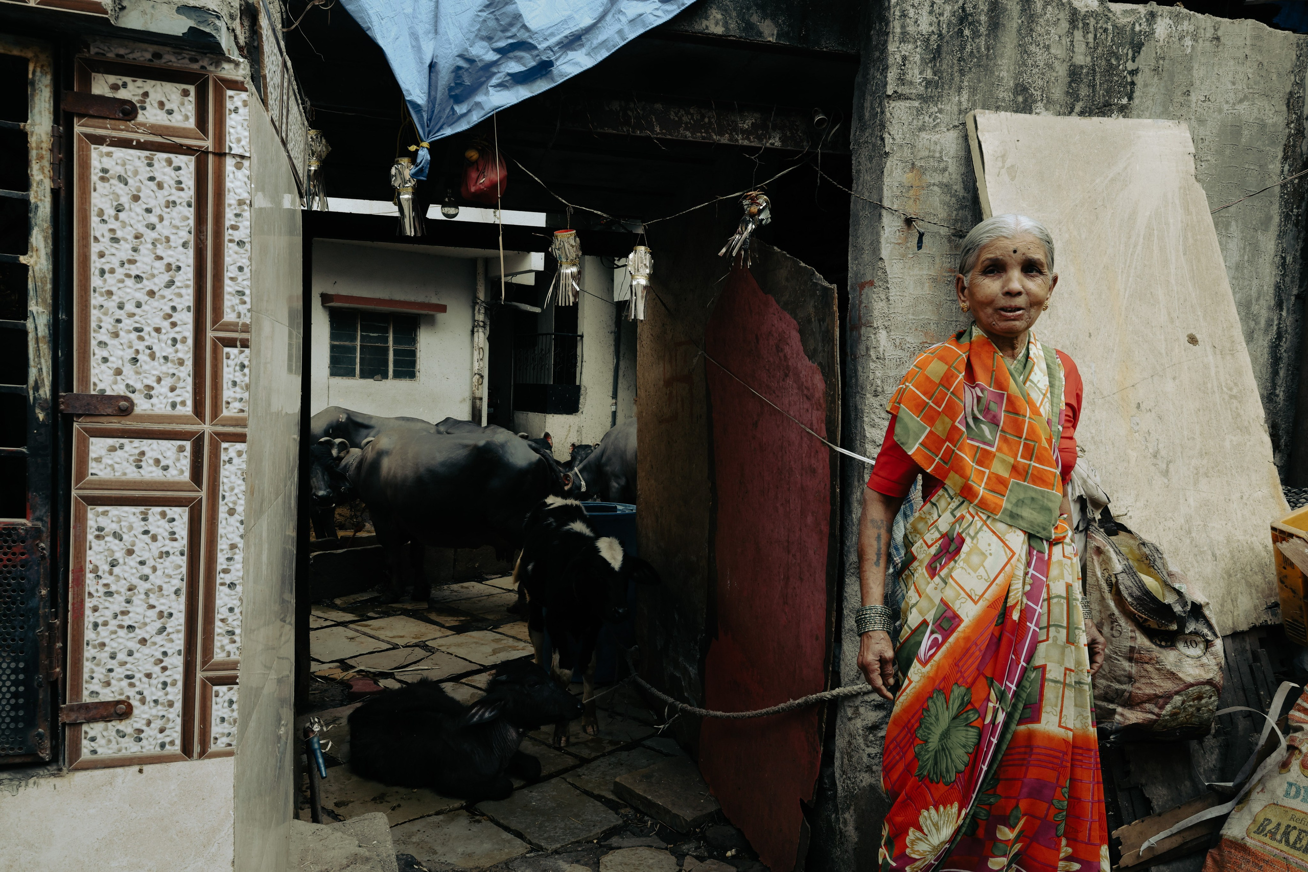 India. Фотограф в Москве