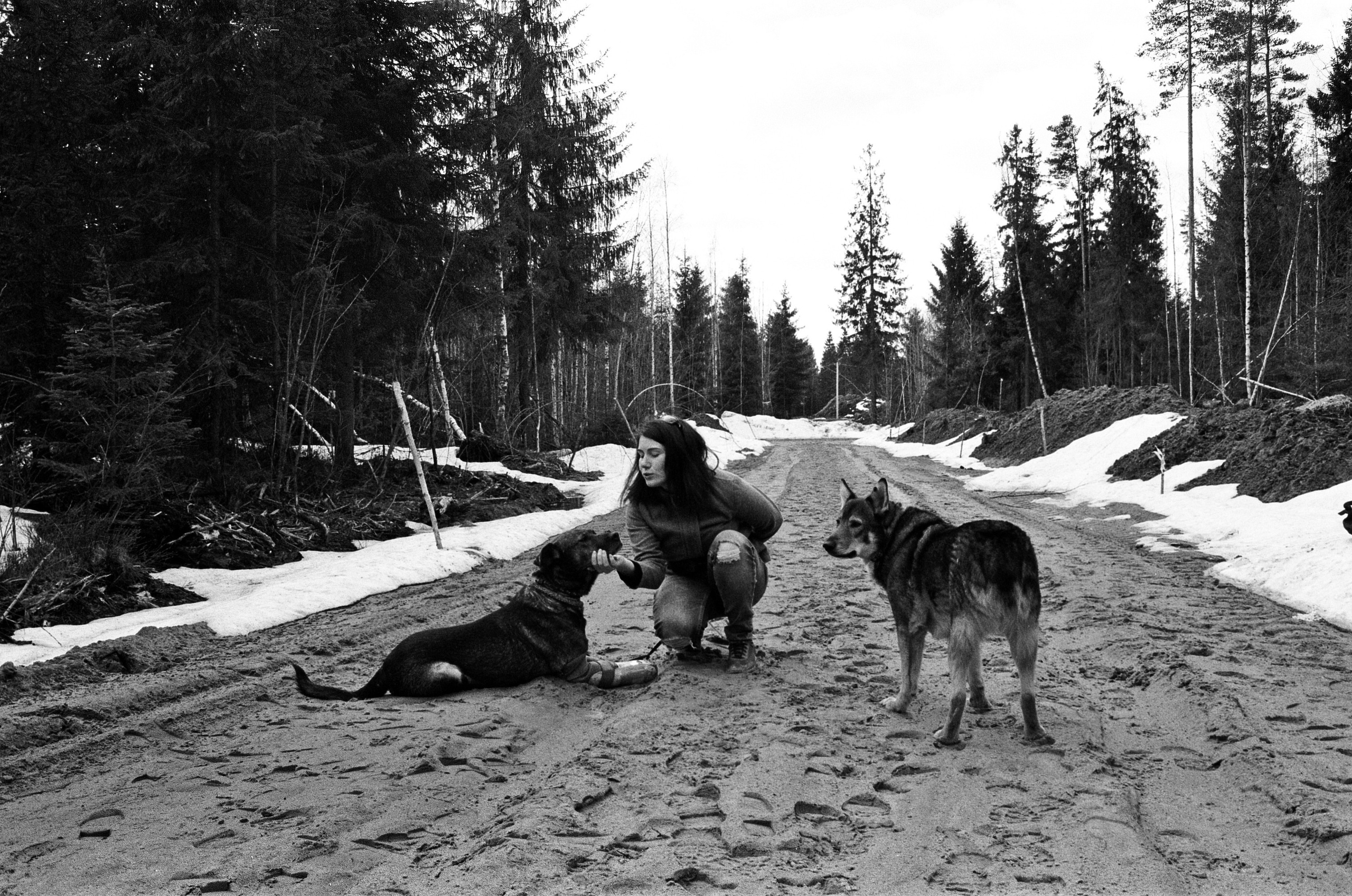 Three Comrades. Междисциплинарный художник и режиссер София Меликова