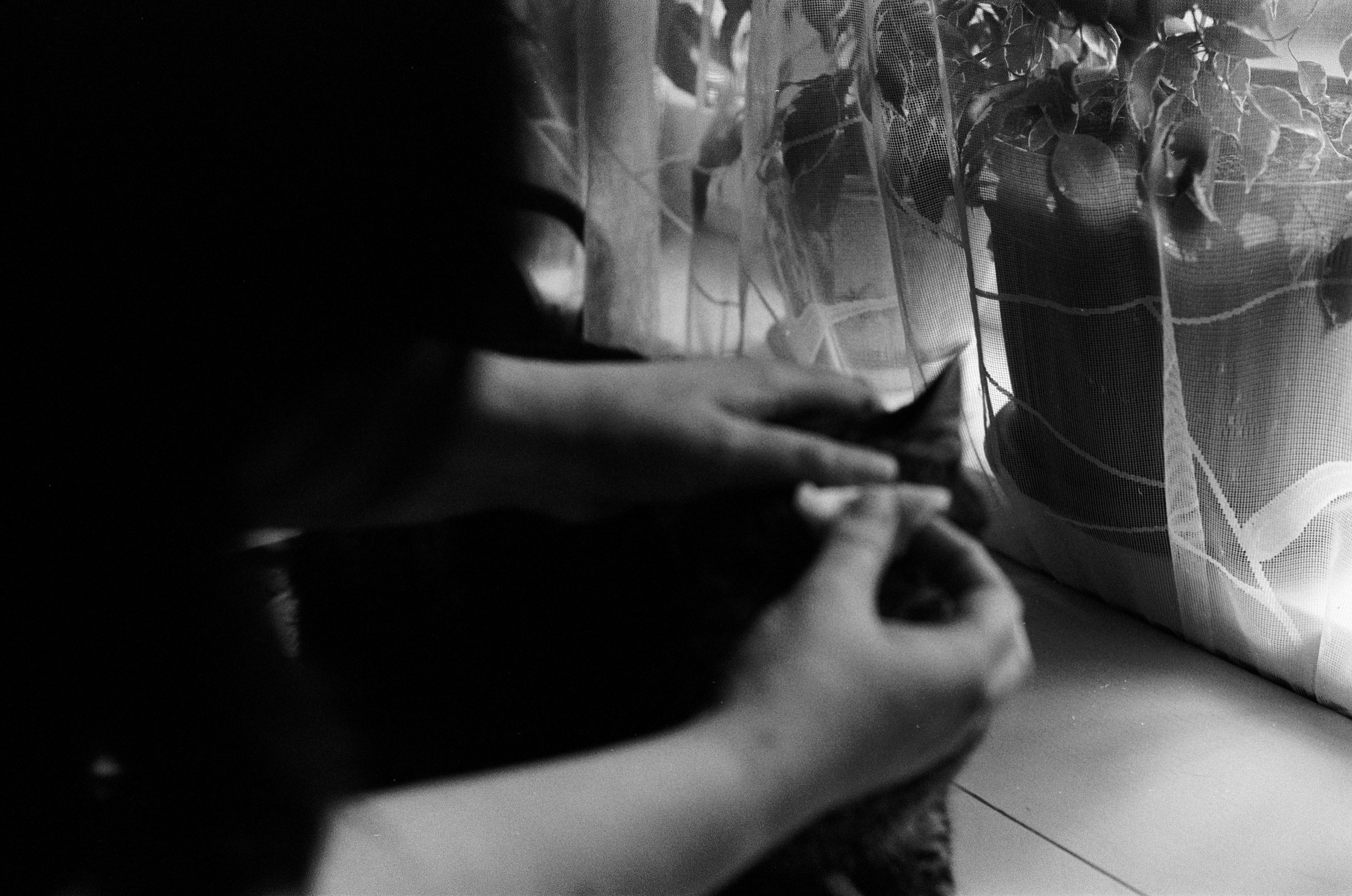 Fur Pills. Междисциплинарный художник и режиссер София Меликова