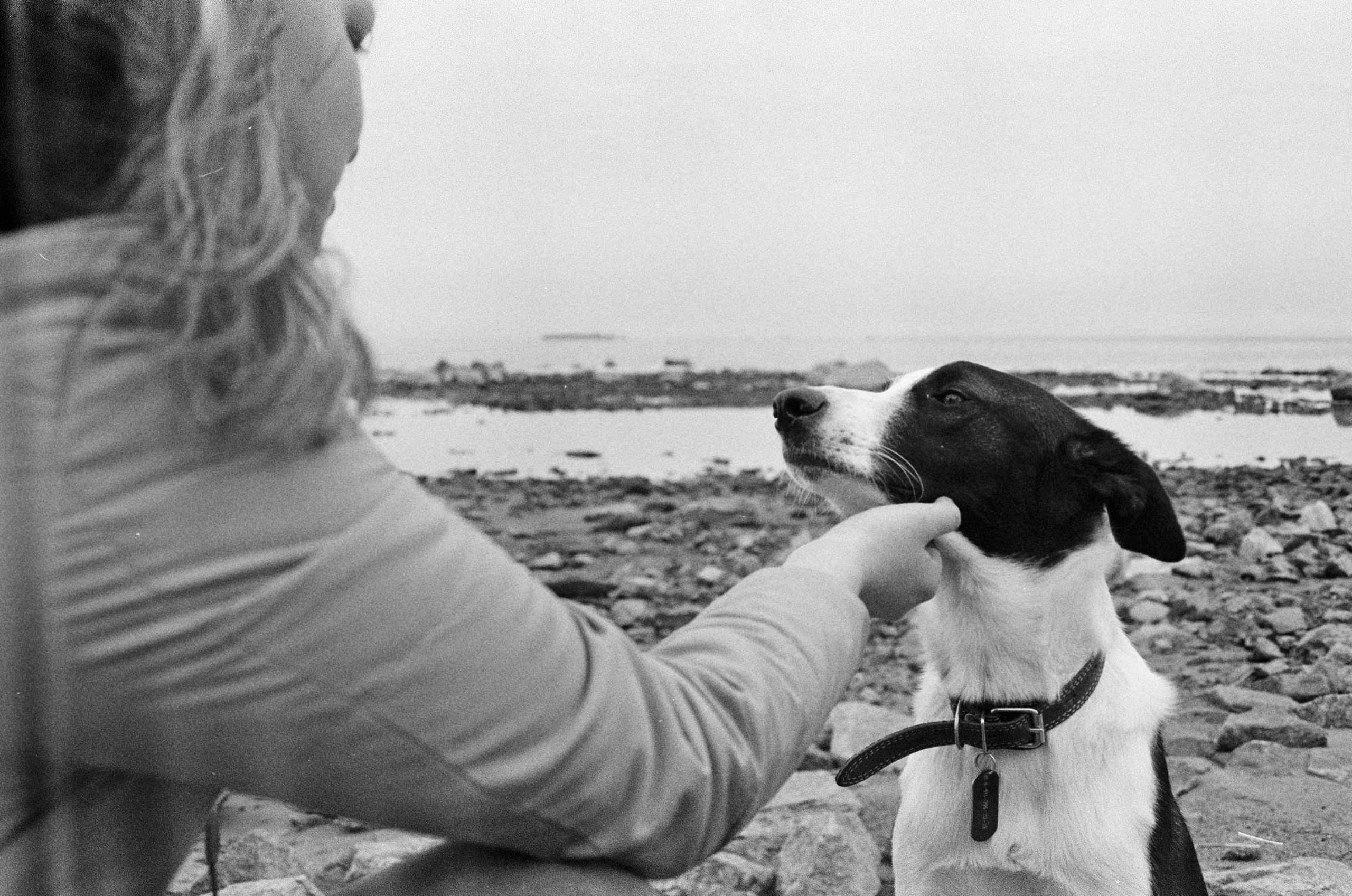 'Animals are better than people'. Междисциплинарный художник и режиссер София Меликова