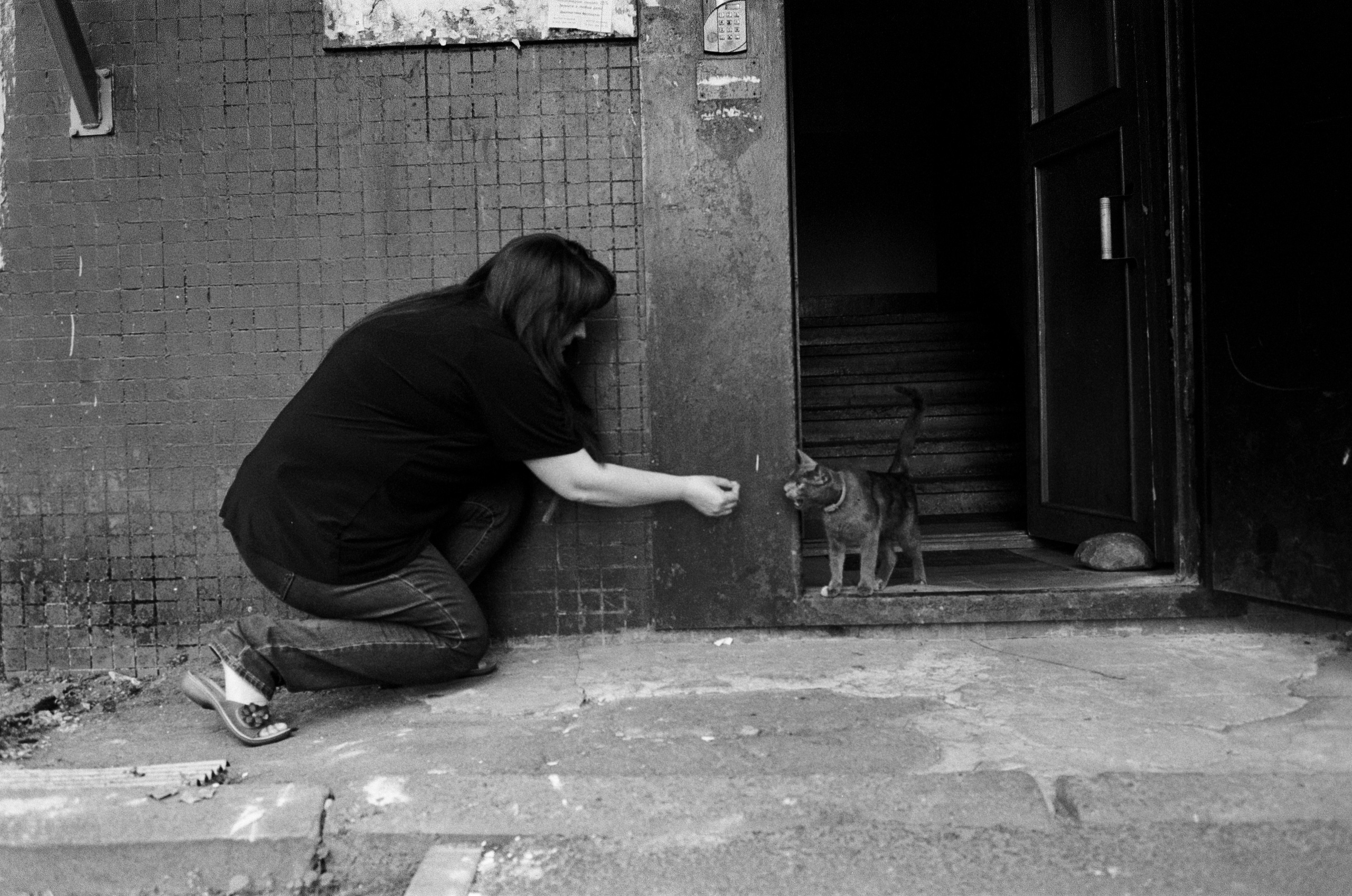 Fur Pills. Междисциплинарный художник и режиссер София Меликова