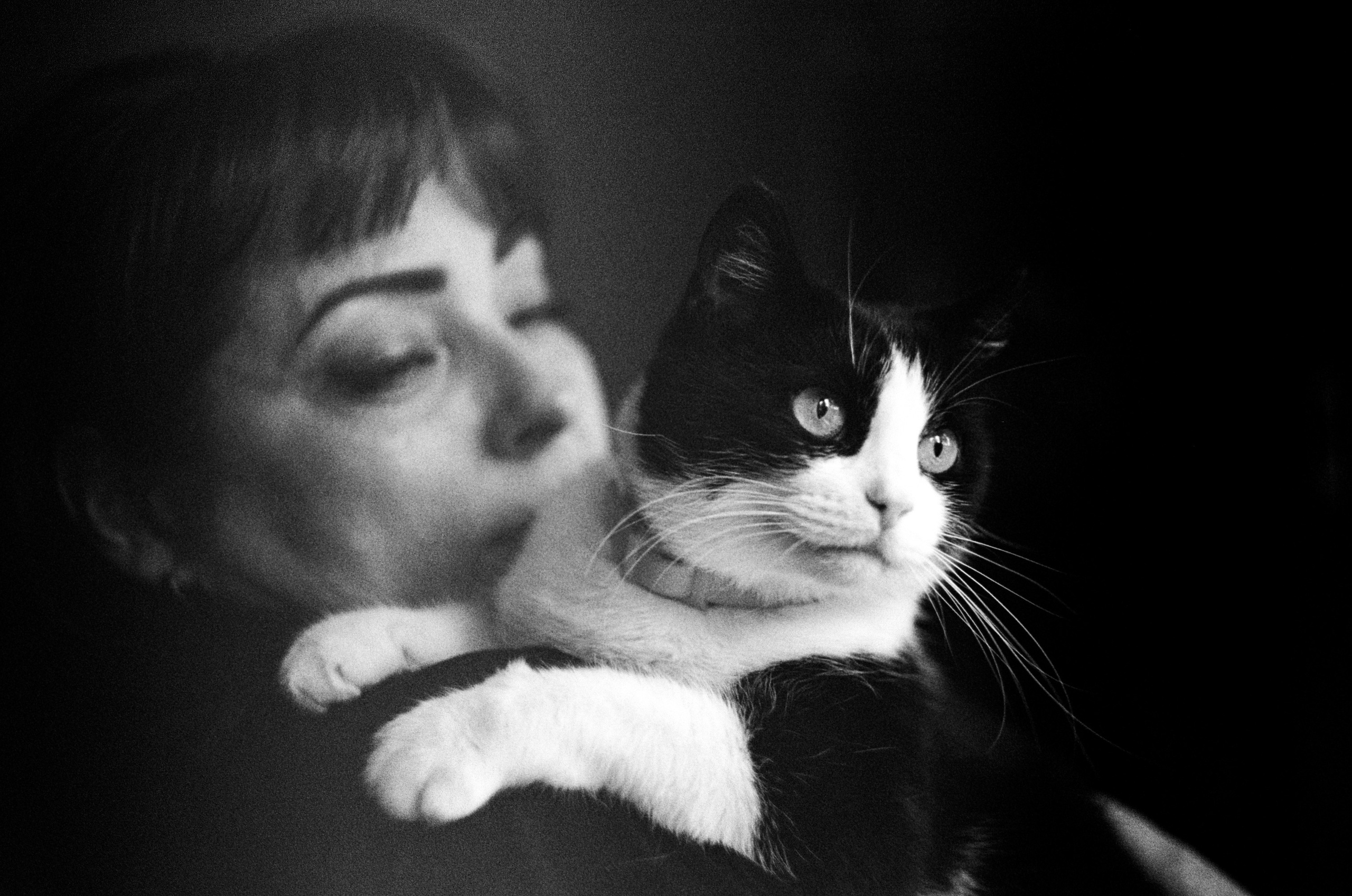 Fur Pills. Междисциплинарный художник и режиссер София Меликова