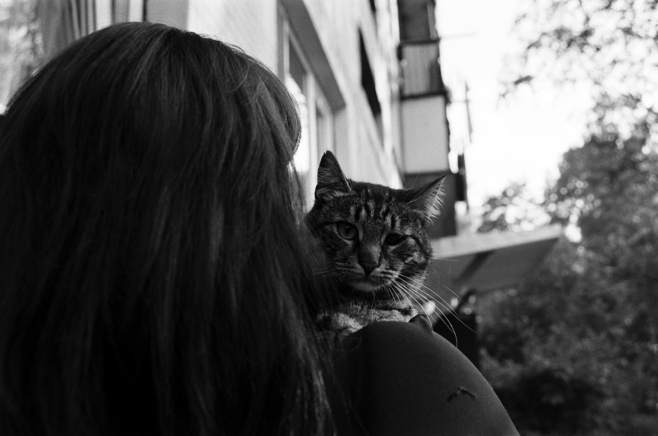 Fur Pills. Междисциплинарный художник и режиссер София Меликова