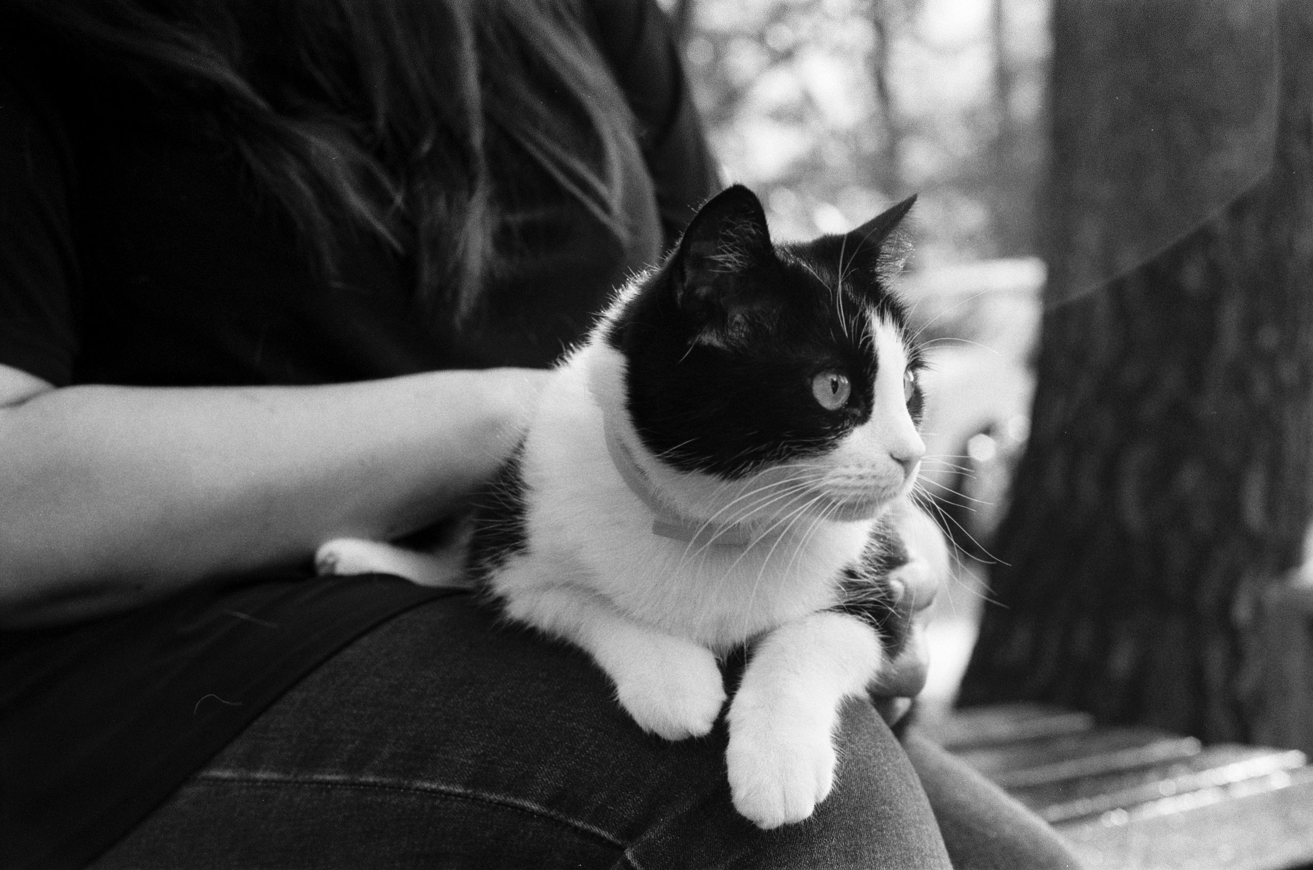 Fur Pills. Междисциплинарный художник и режиссер София Меликова