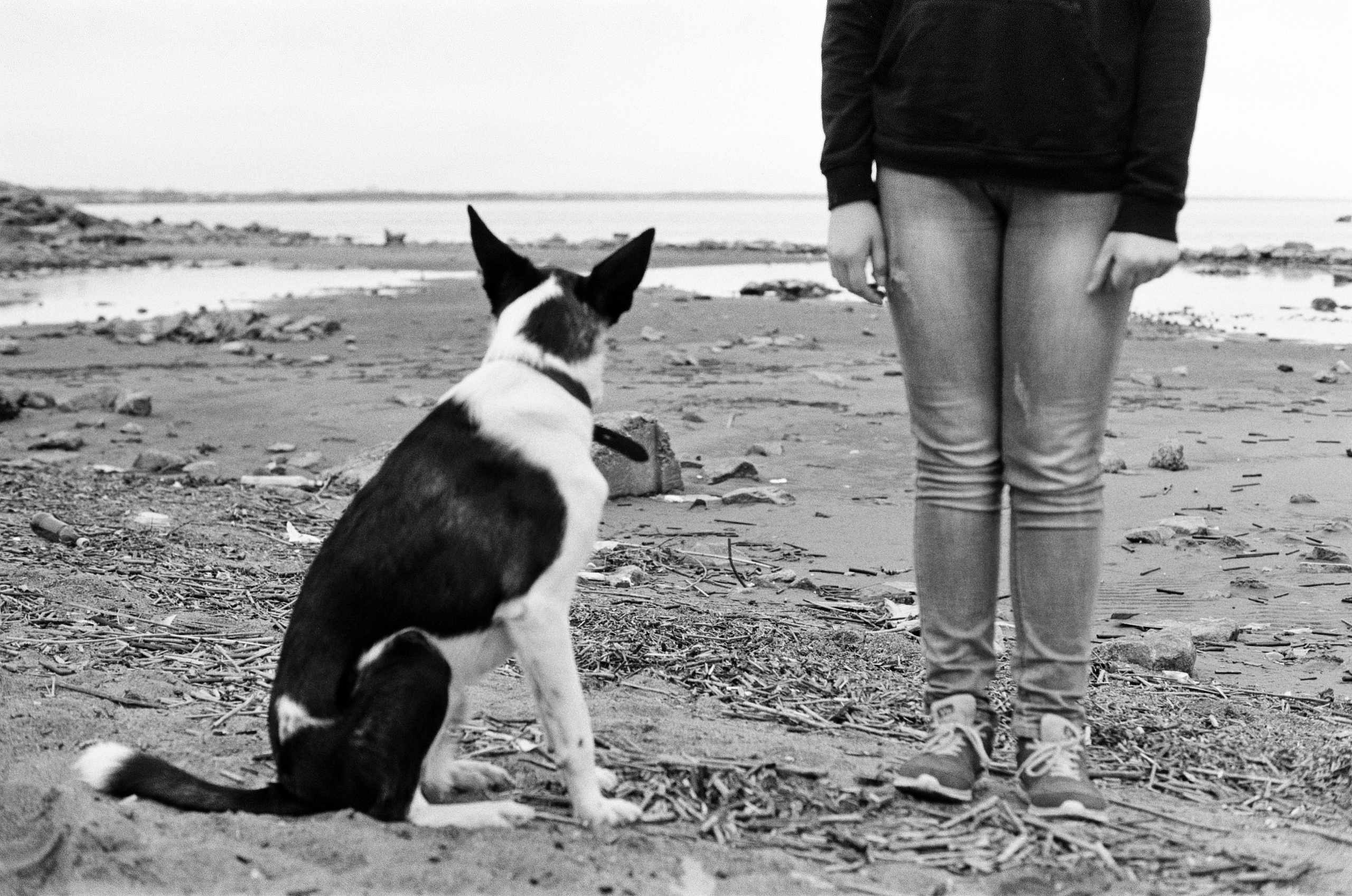 'Animals are better than people'. Междисциплинарный художник и режиссер София Меликова