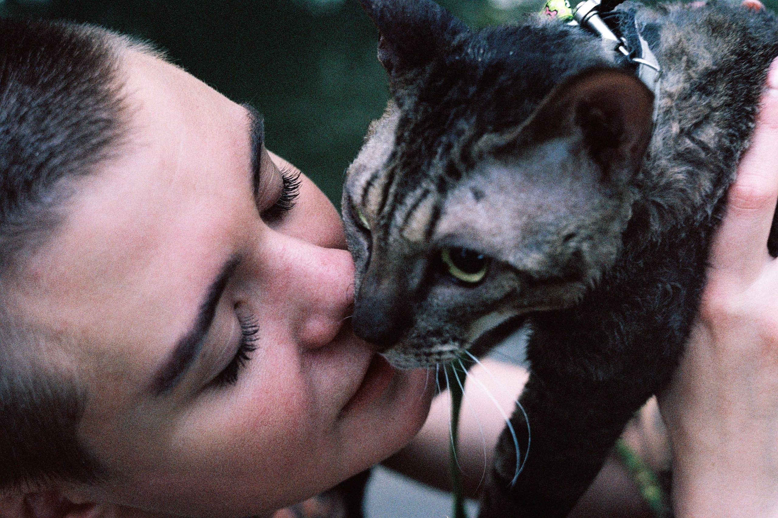 Hot blood. Междисциплинарный художник и режиссер София Меликова