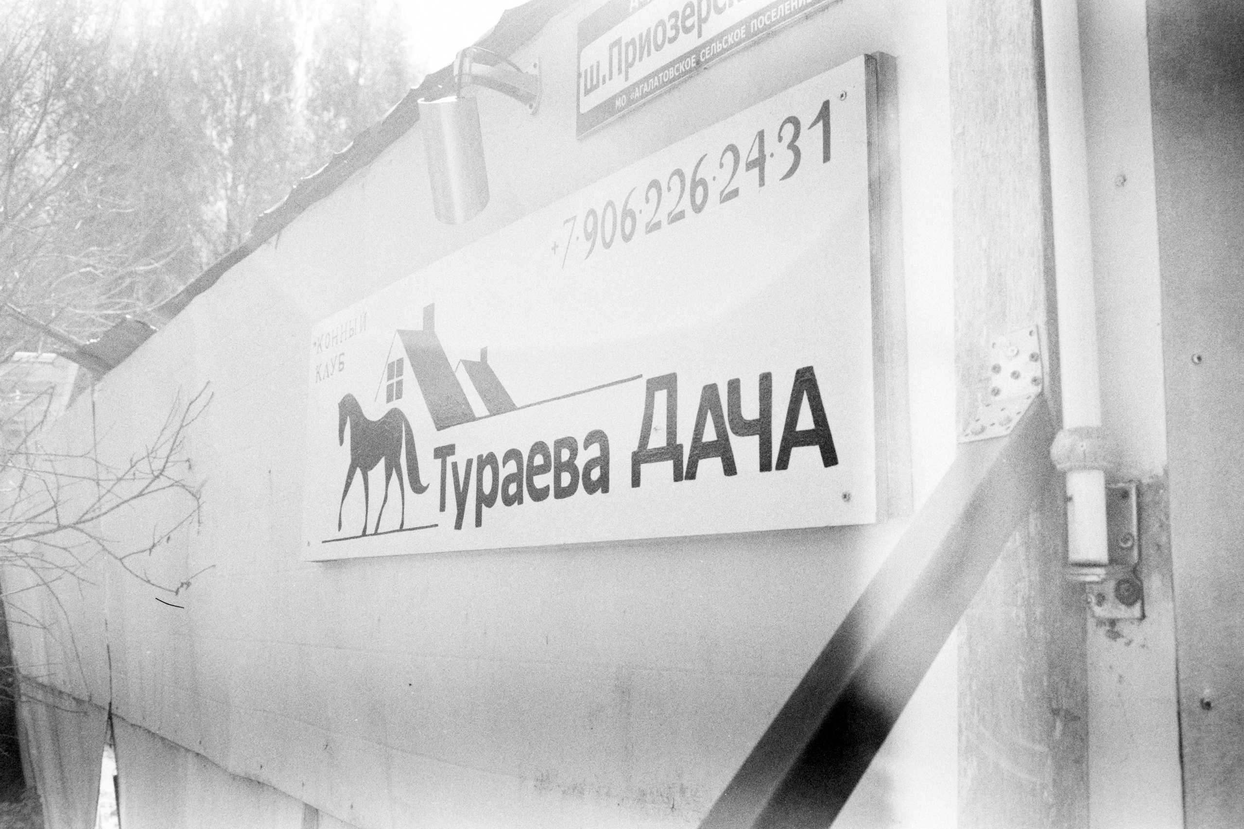 Friendship for Salvation. Междисциплинарный художник и режиссер София Меликова