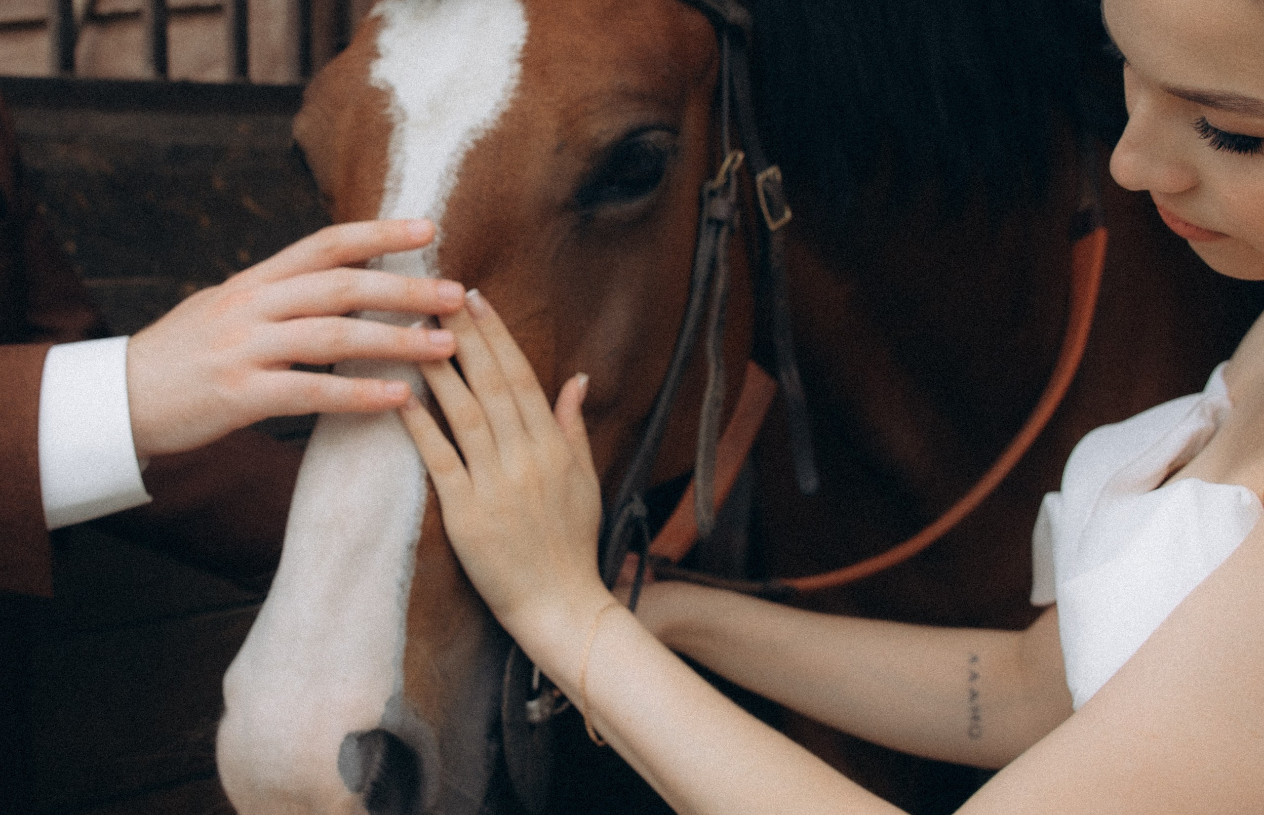 Аня И Павел. Свадьба в Белом Колодце. Алена Бадамшина — свадебный фотограф Воронеж / Москва