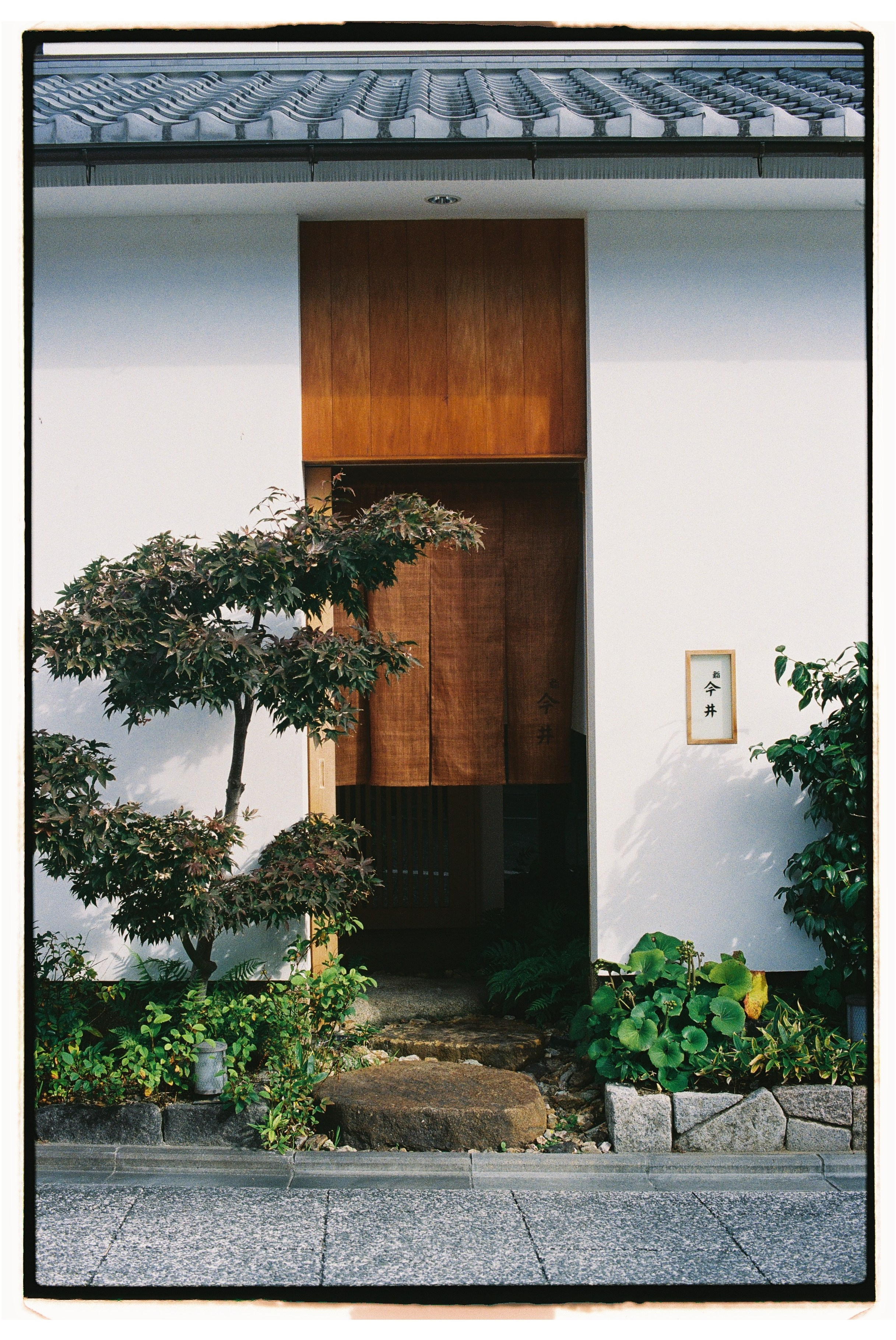 Asia. Olya Filina | Moscow Photographer