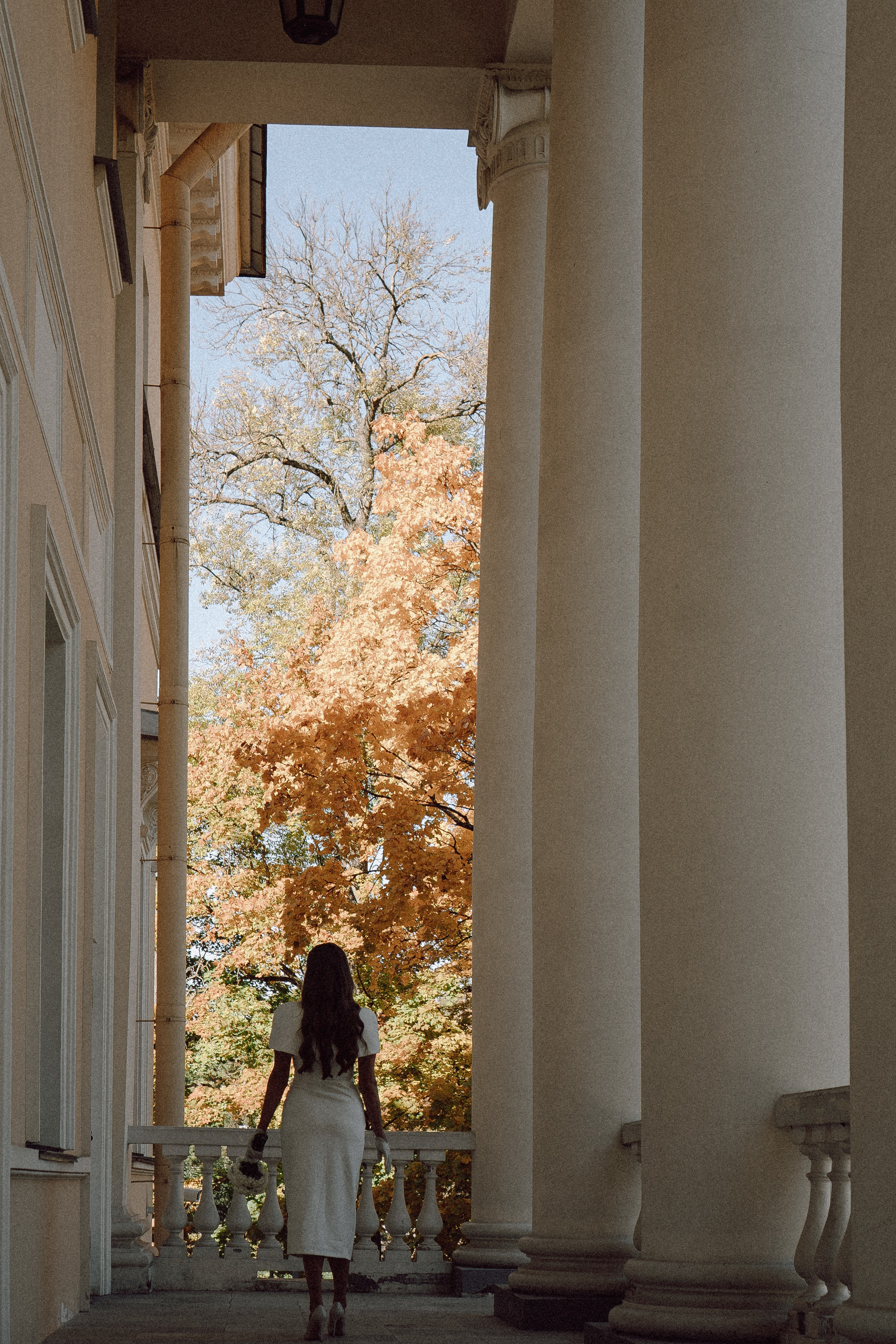 СВАДЕБНАЯ СЬЕМКА В ПУШКИН. Профессиональный фотограф, Санкт-Петербург — Виктория Богомолова