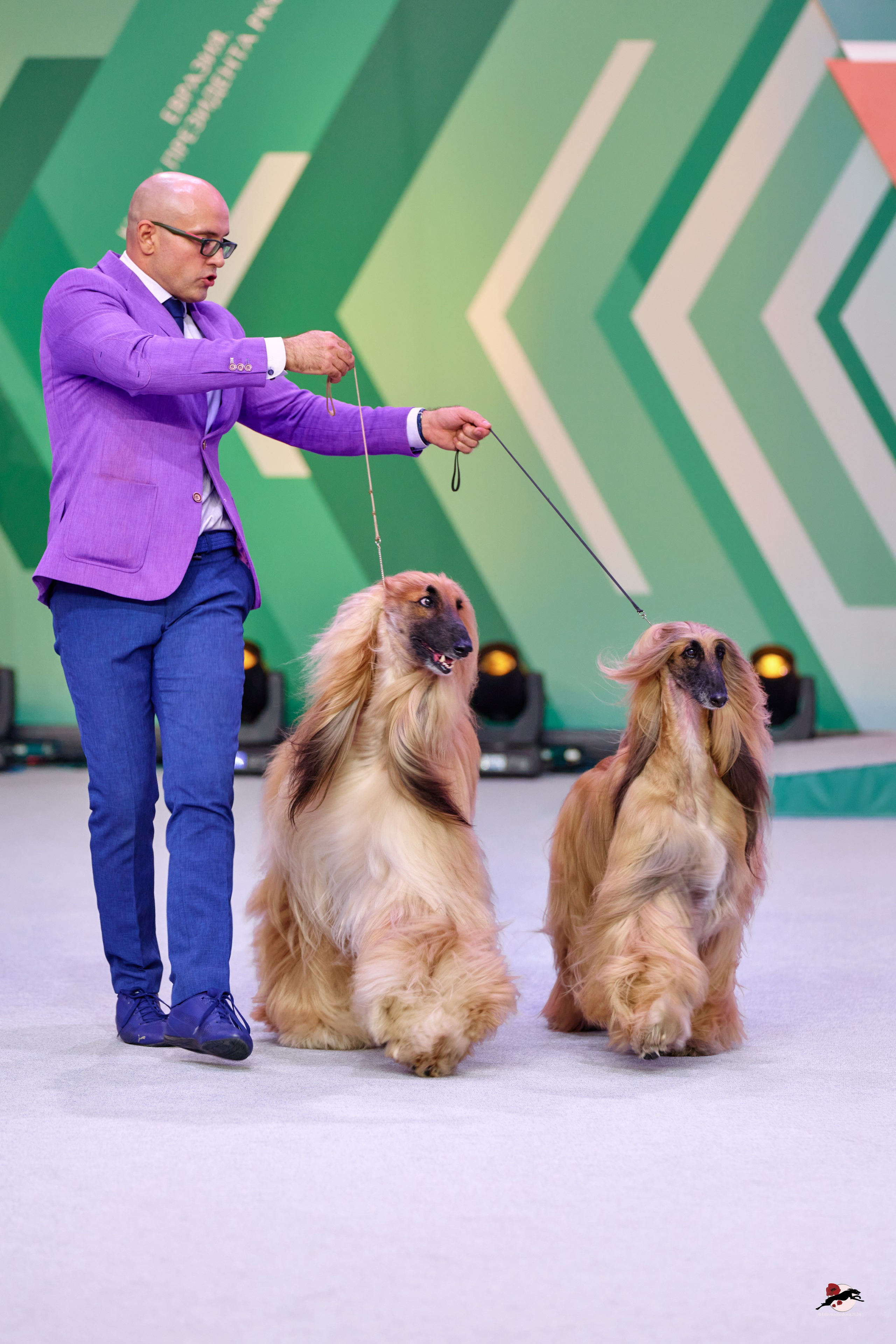 16.11.2024 «ЕВРАЗИЯ. КУБОК ПРЕЗИДЕНТА РКФ 2024»