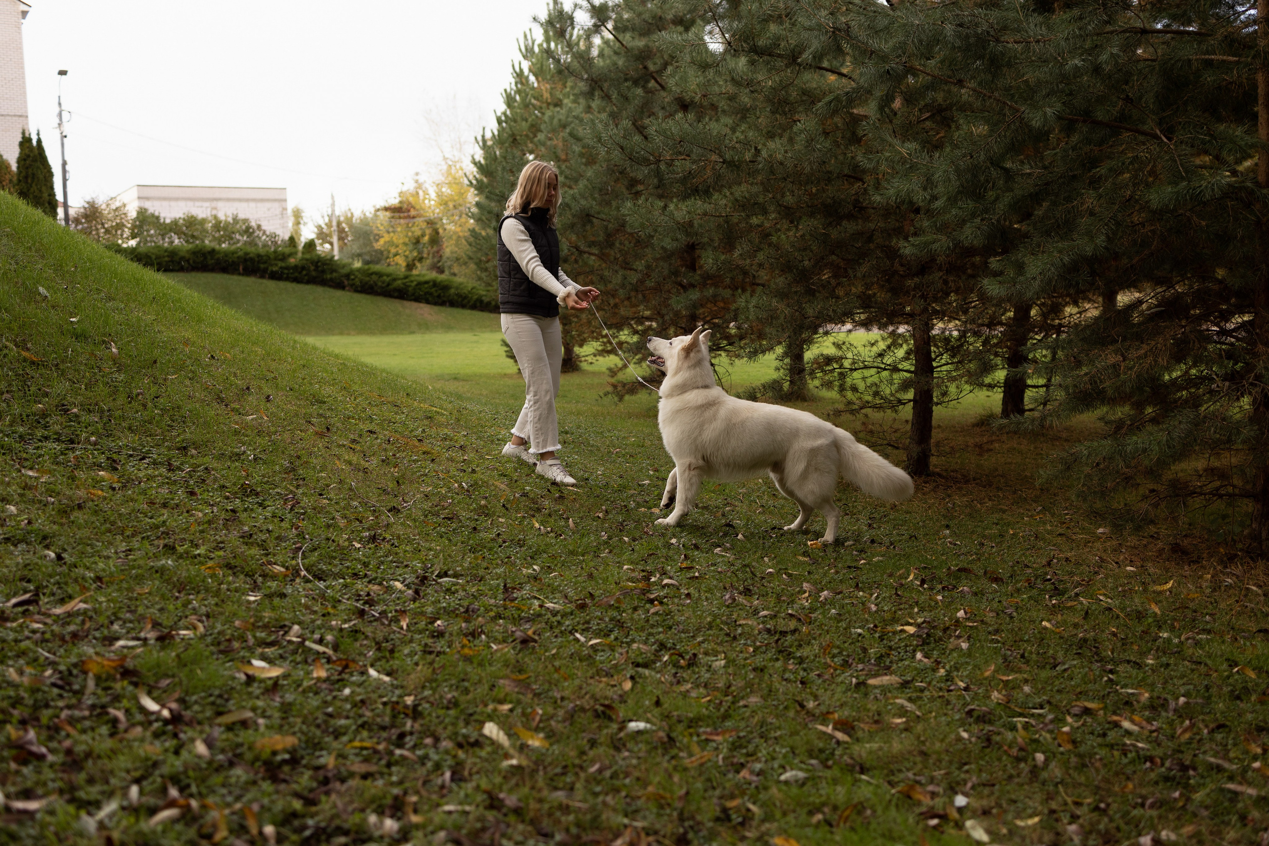 Алина и Райден. Фотограф — Анималист Наталья Тямушева