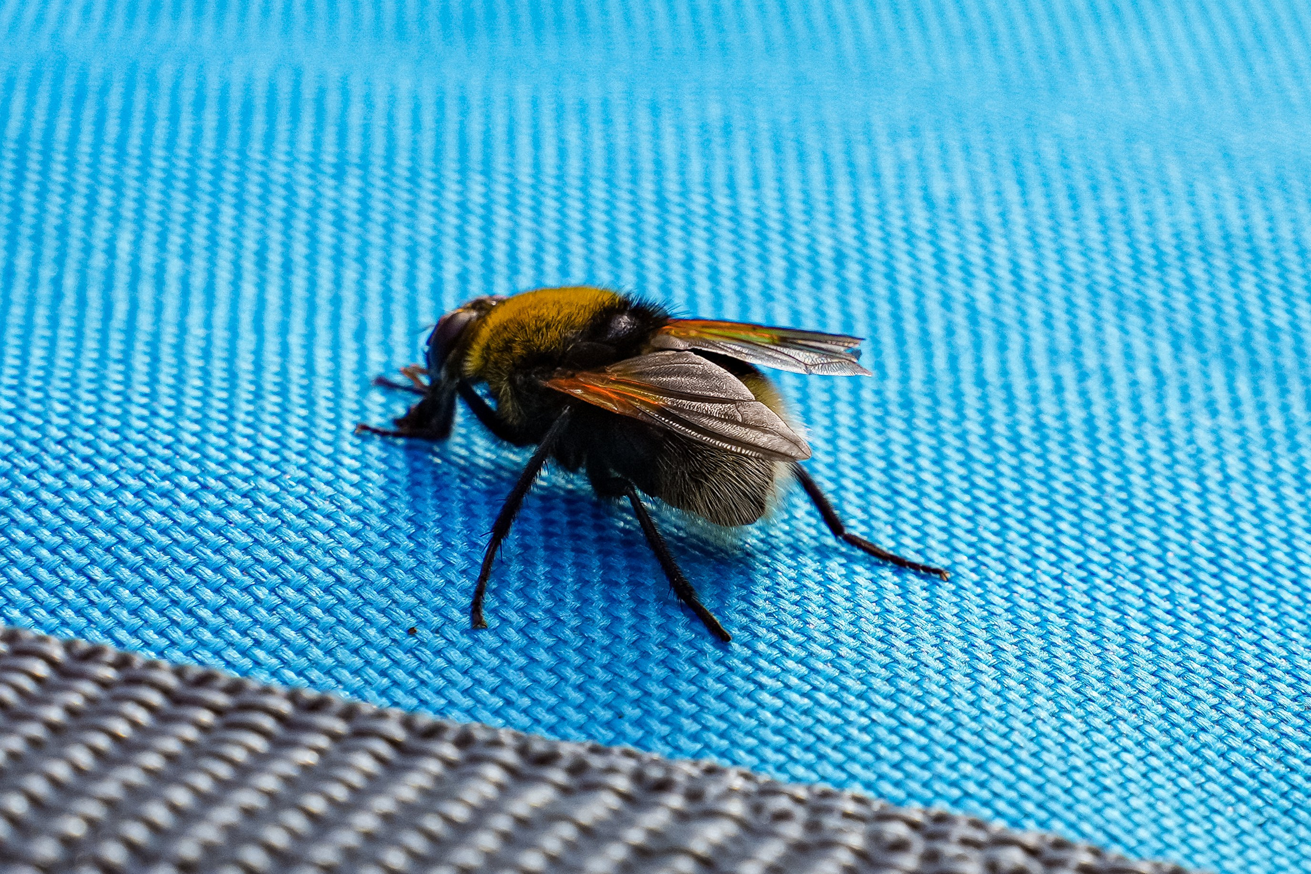 СЕВЕР. Event фотограф Степанова Александра