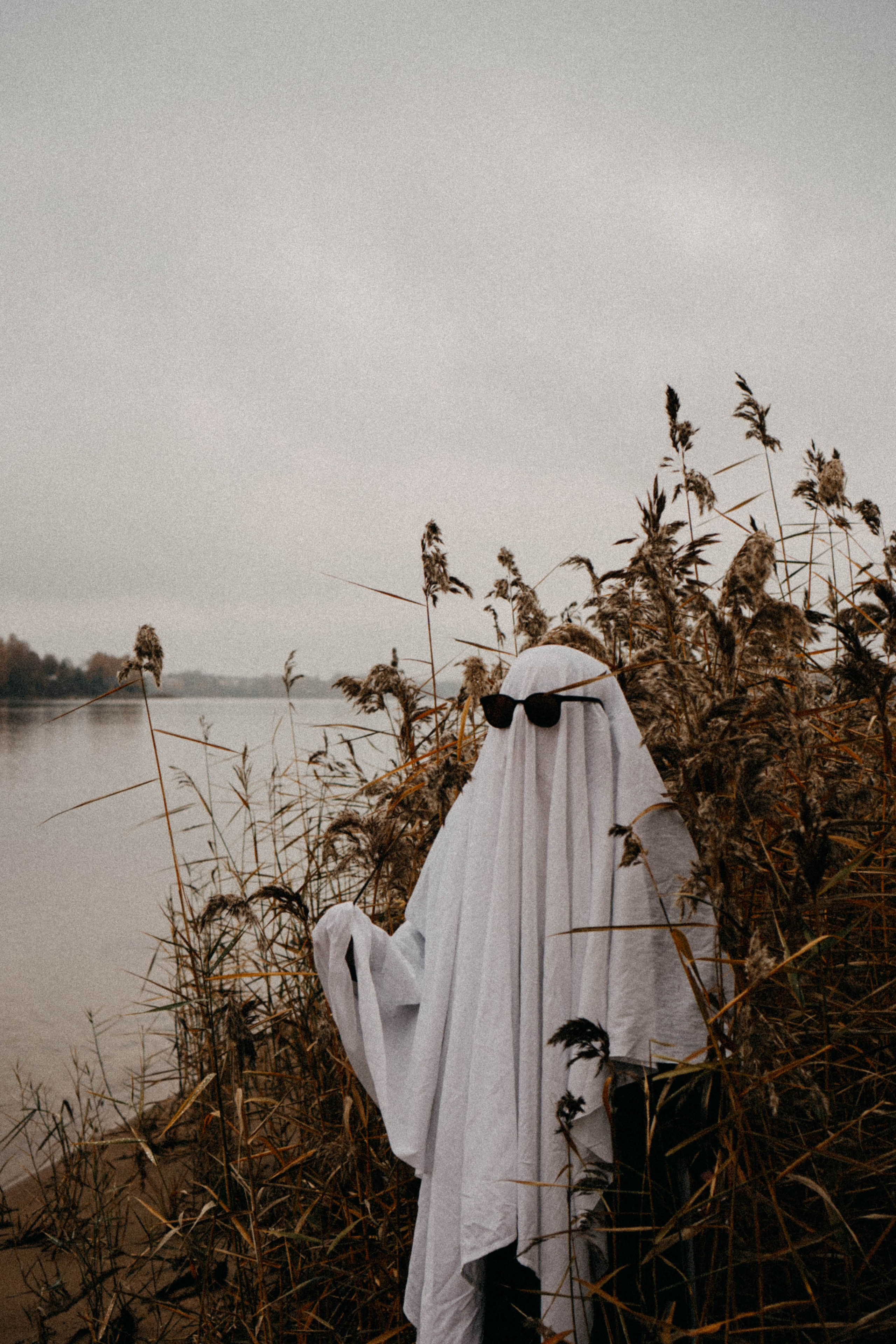 Осеняя. Профессиональный фотограф, Санкт-Петербург — Виктория Богомолова
