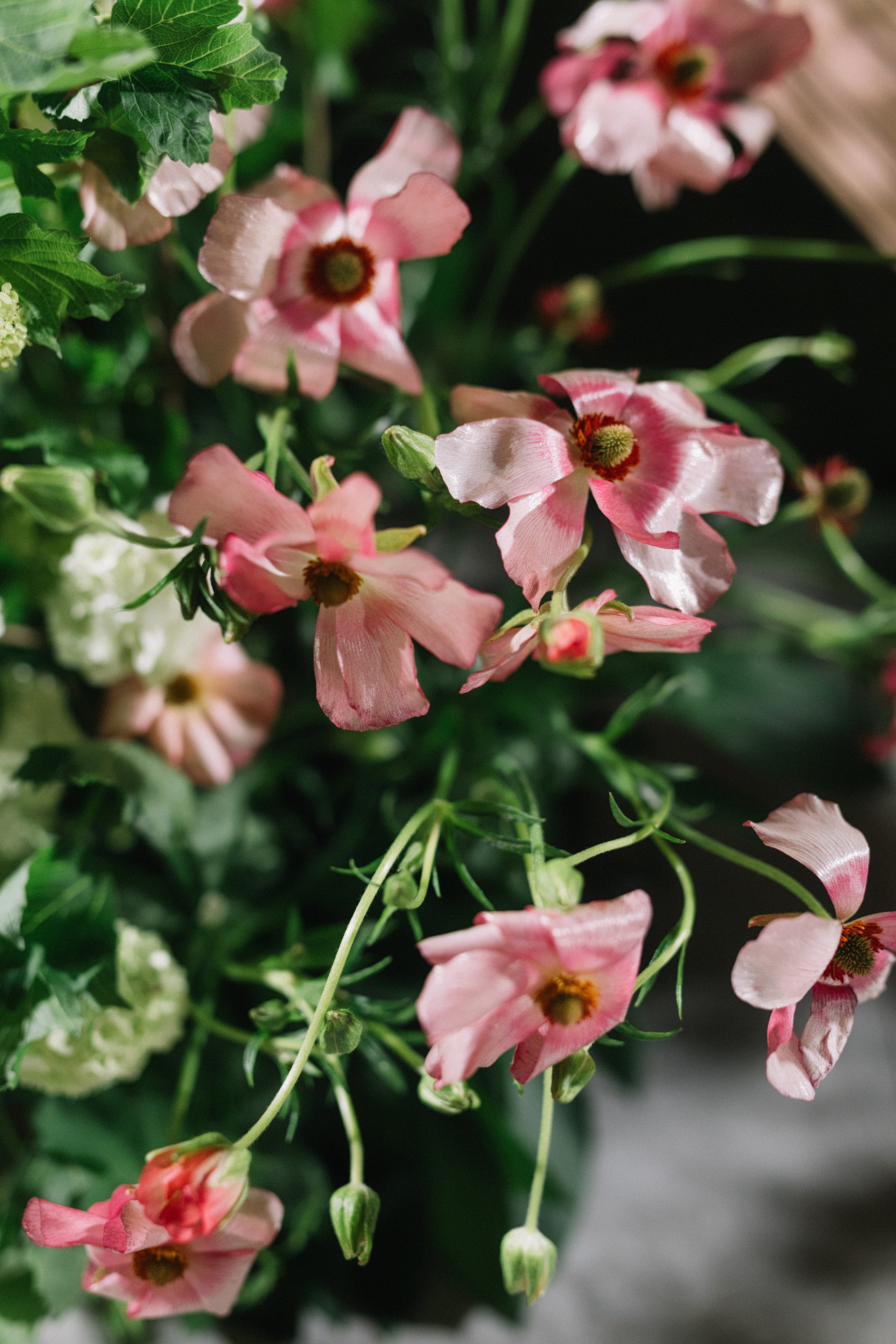 Катя и Влад. Свадебный фотограф в Краснодаре Булатова Наталия