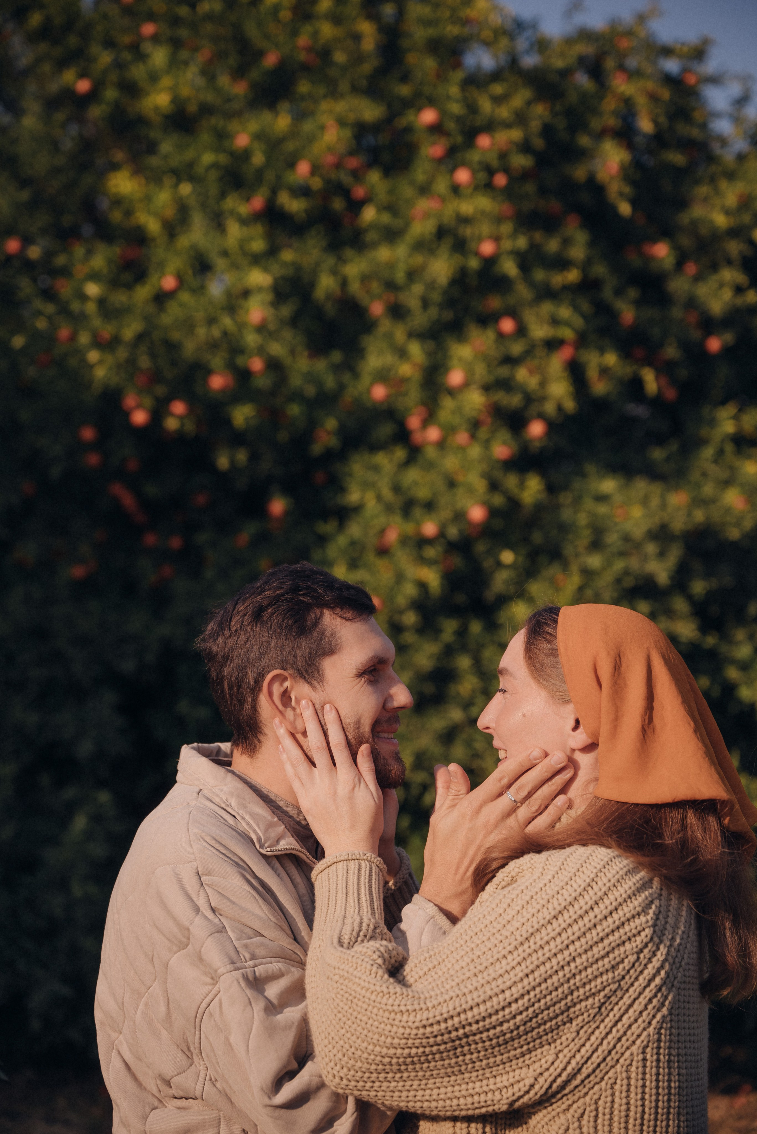 Сбор урожая. Анна Лобанова | фотограф