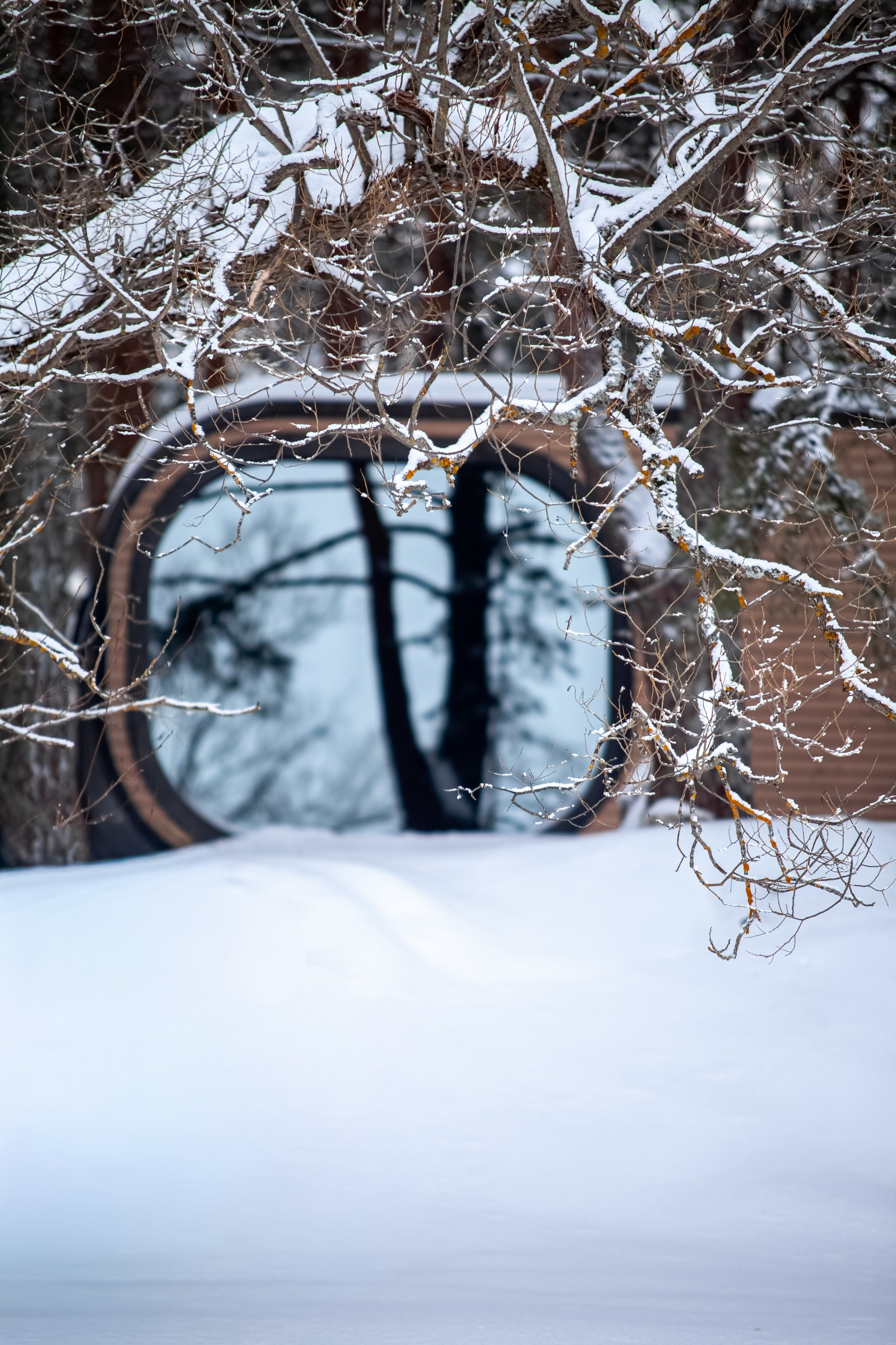 Выключить шум и услышать тишину, утихомирить свои мысли и приземлиться. В фокусе- человек и его состояние!. Туманов Виталий — фотограф Москва