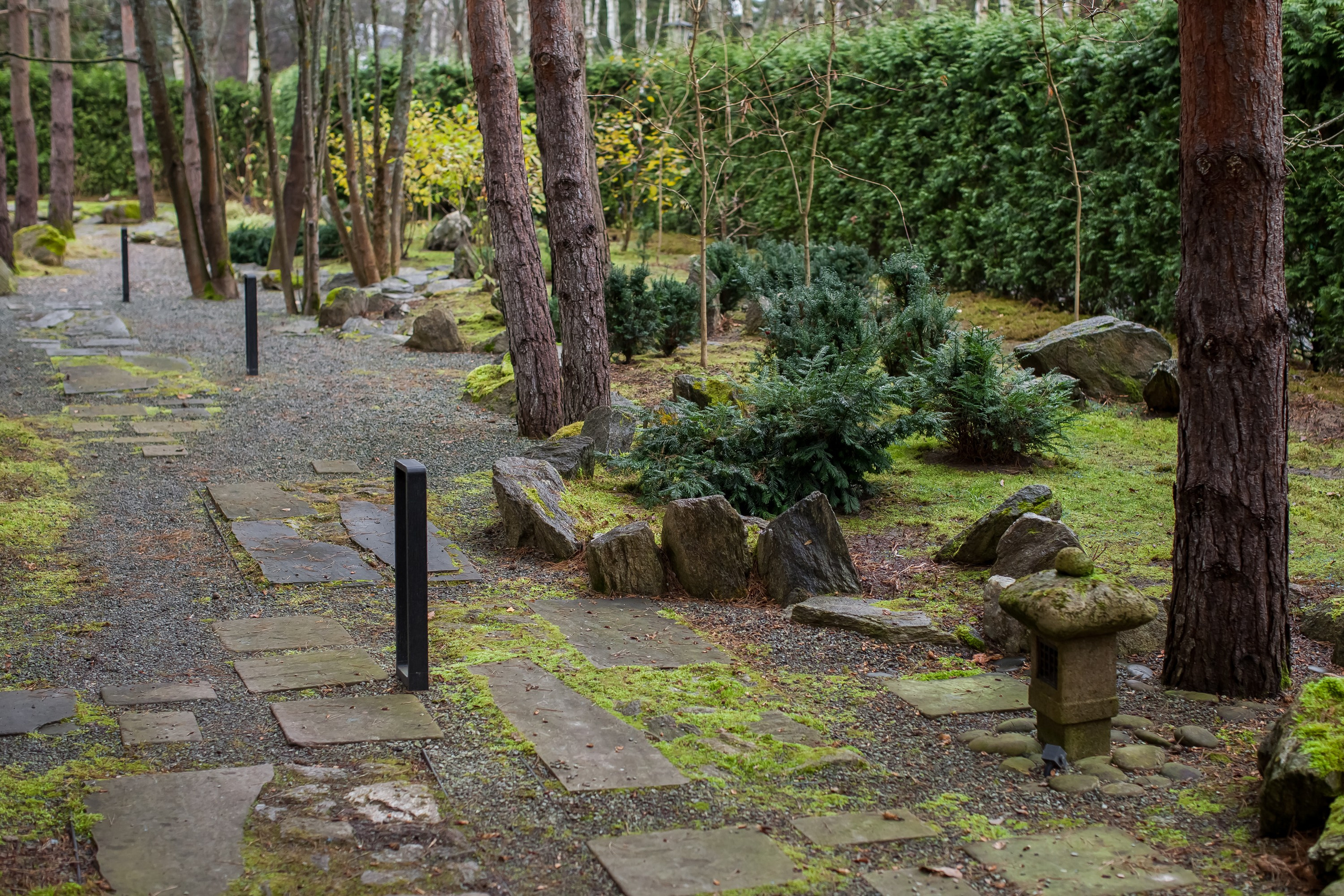 ОСТОРОЖНО МОХ. Туманов Виталий — фотограф Москва