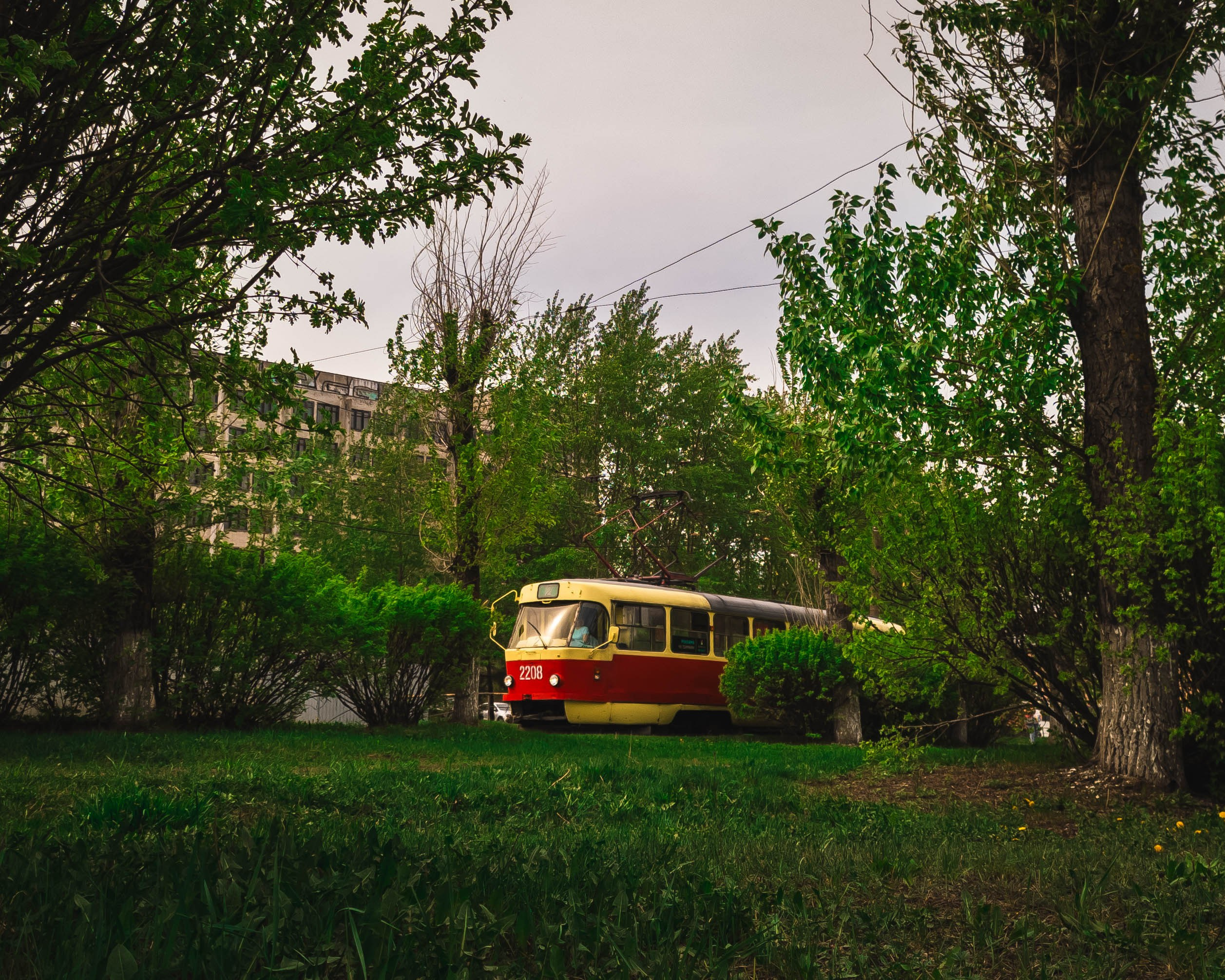 Трамваи. Олег Романов. Мастер фото по спорту