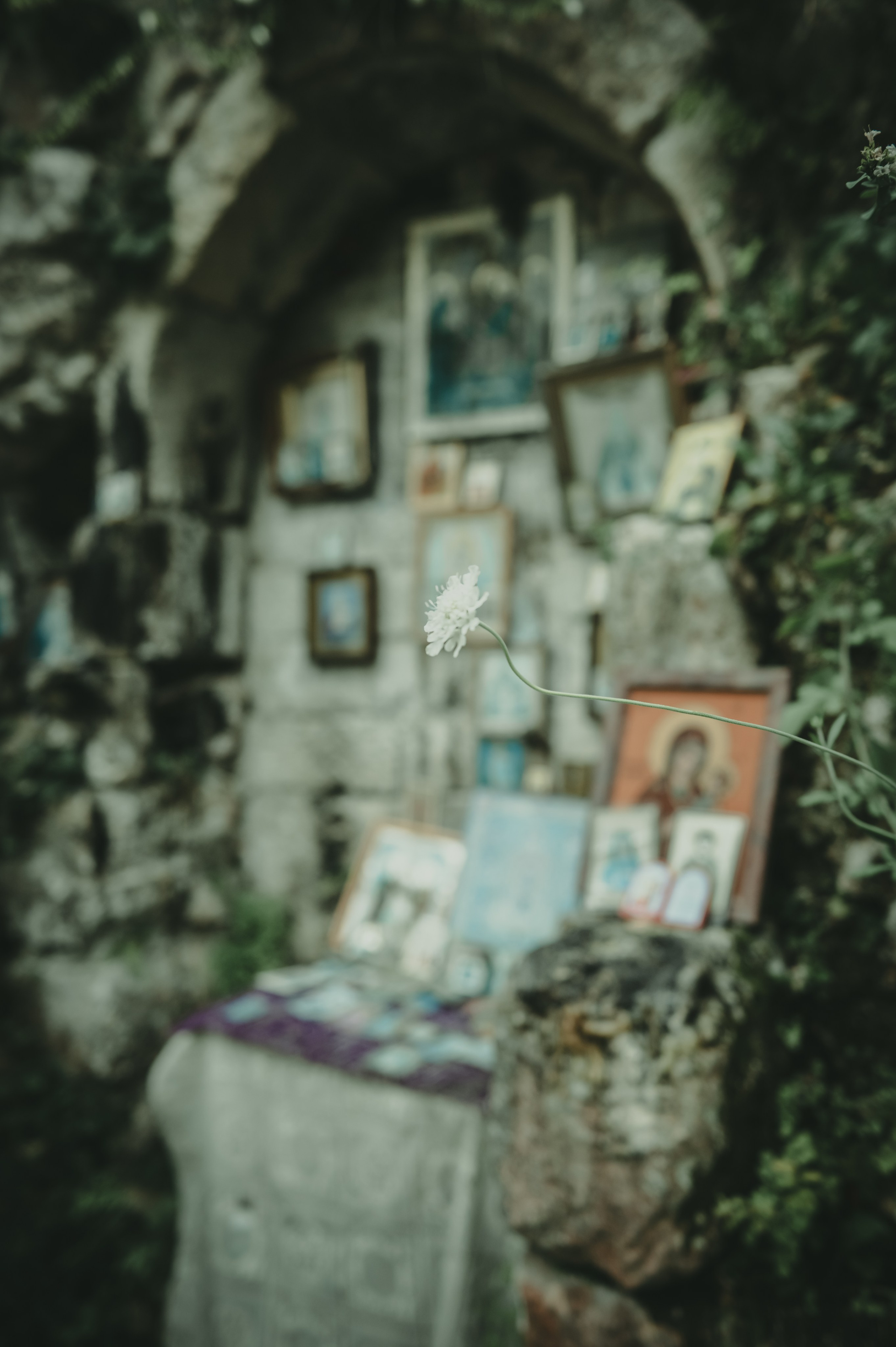 Абхазия. Женский фотограф Крещение Венчание Москва Брянск