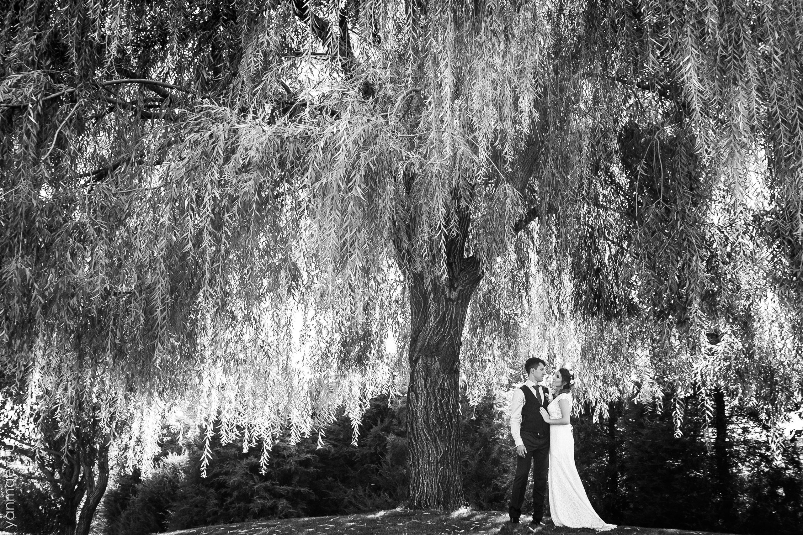 Свадебное портфолио фотографа. Свадебная, репортажная и бизнес съёмка в Ростове-на-Дону