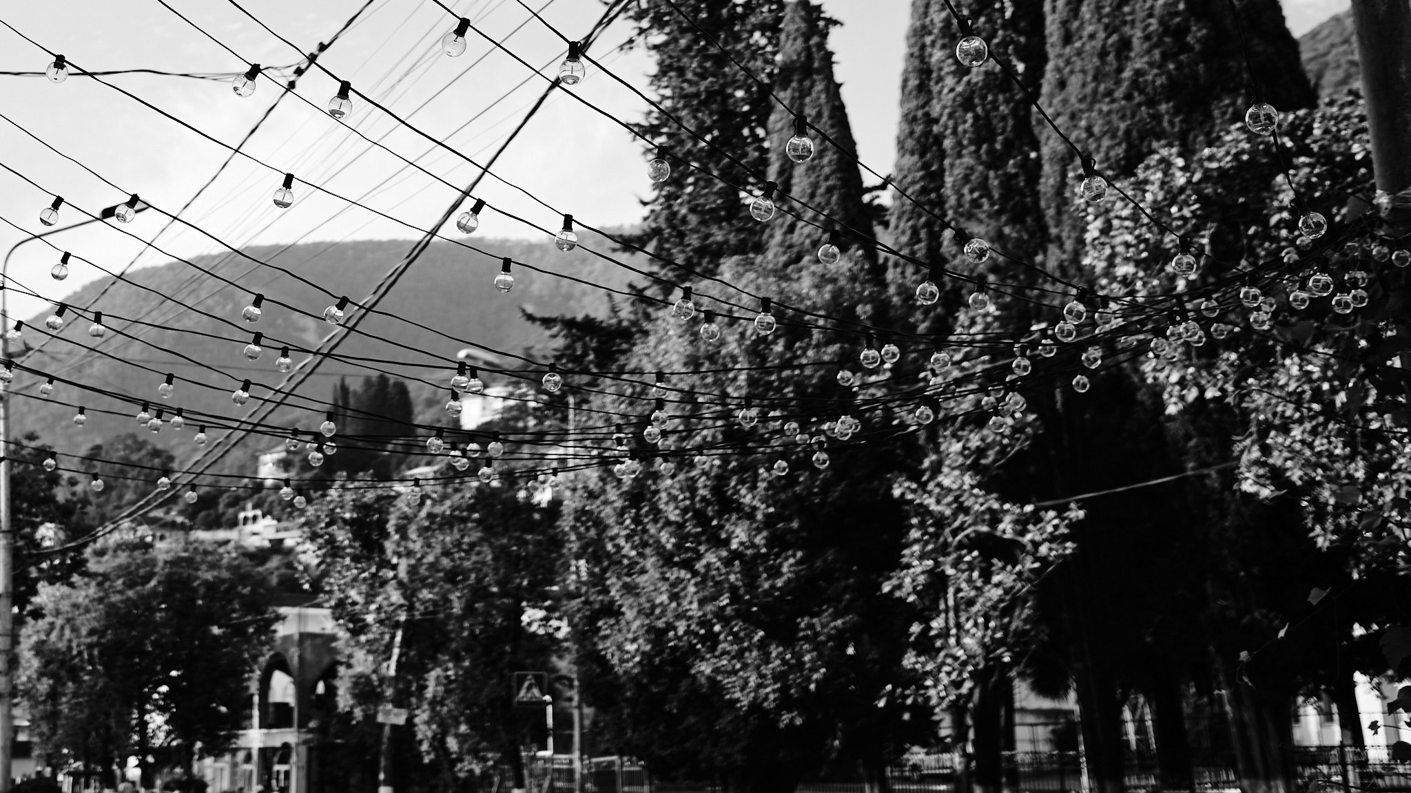 Фотограф Владимир Кононенко