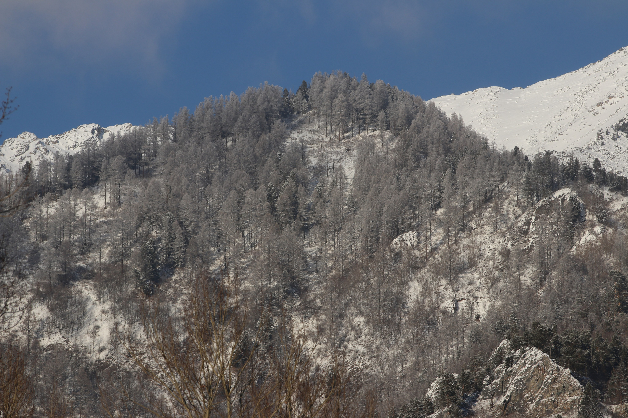Аршан. Январь 2024. Путешественник-фотограф из Санкт-Петербурга Татьяна Свистулина