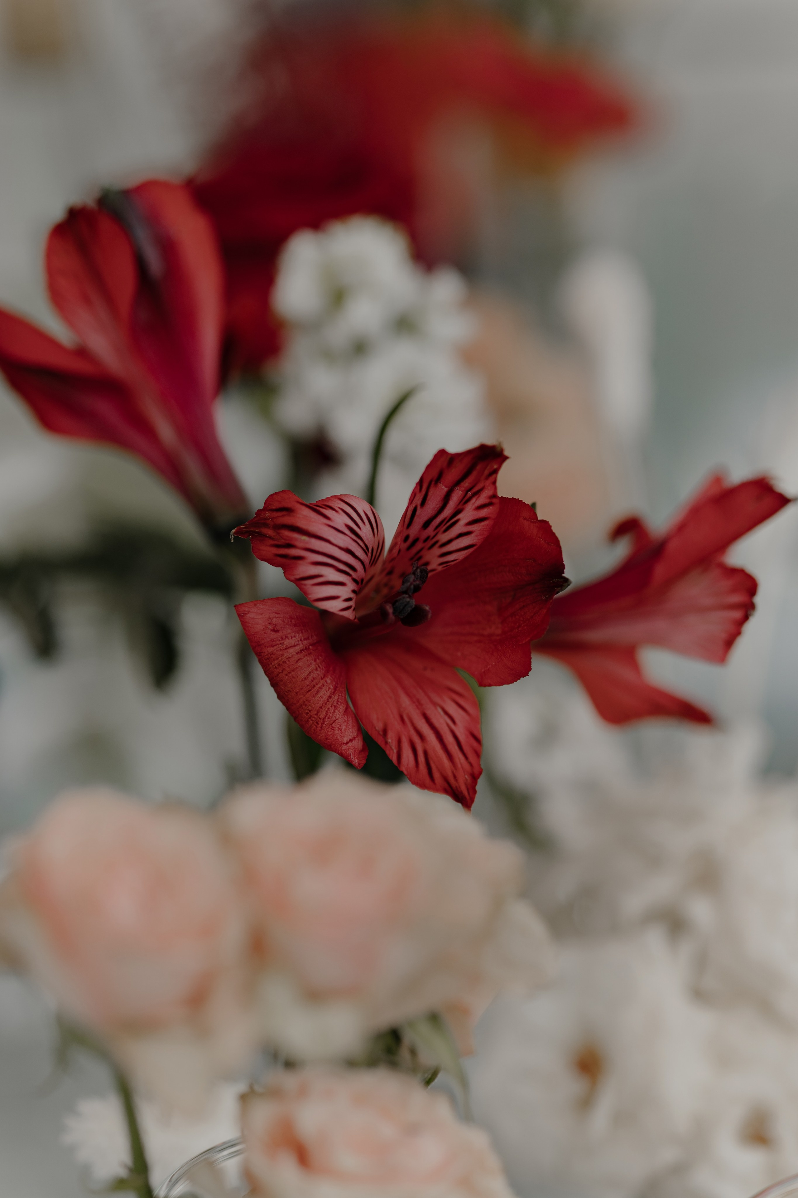 24.08.2024. RETOUCH-HOUSE