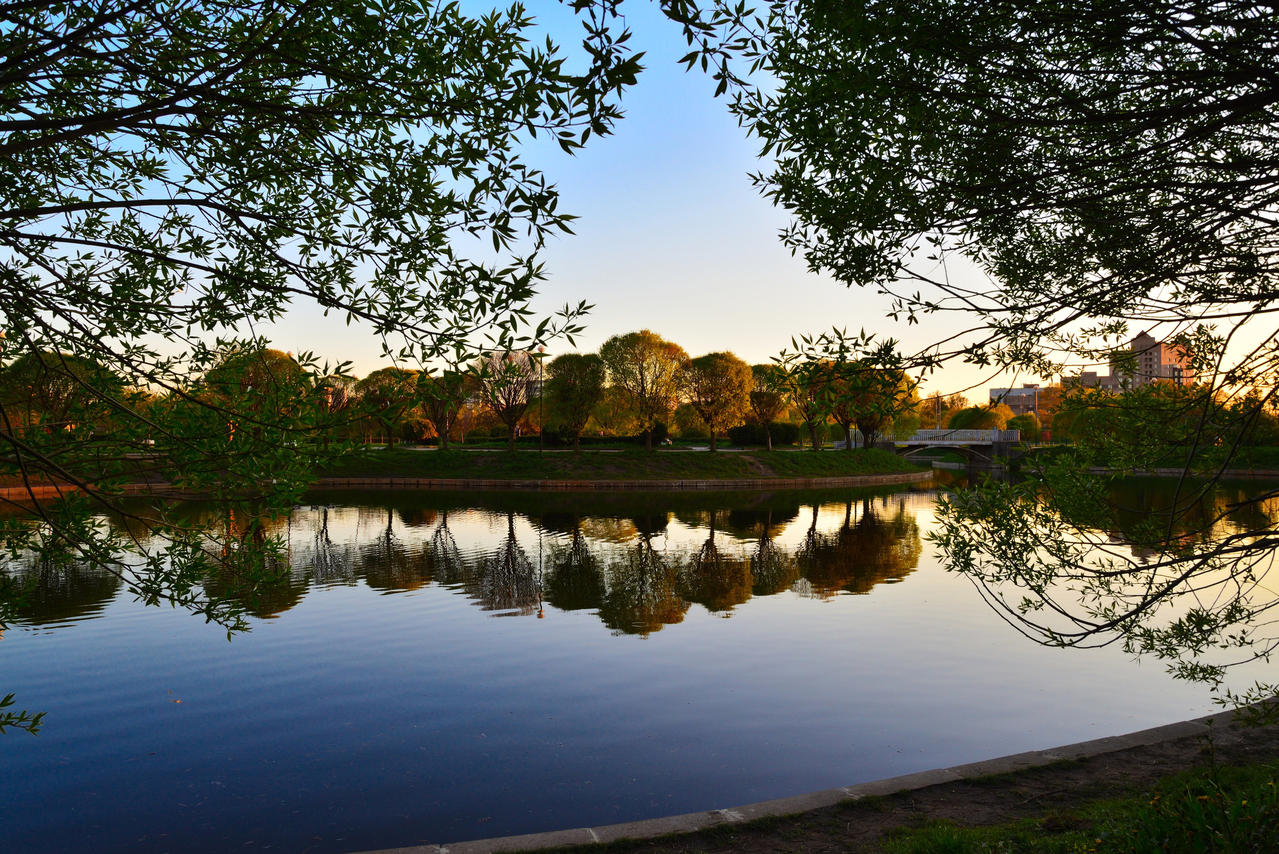 Пейзажи. Фотограф Максим Мицун. Портрет, свадьба, репортаж, каталог
