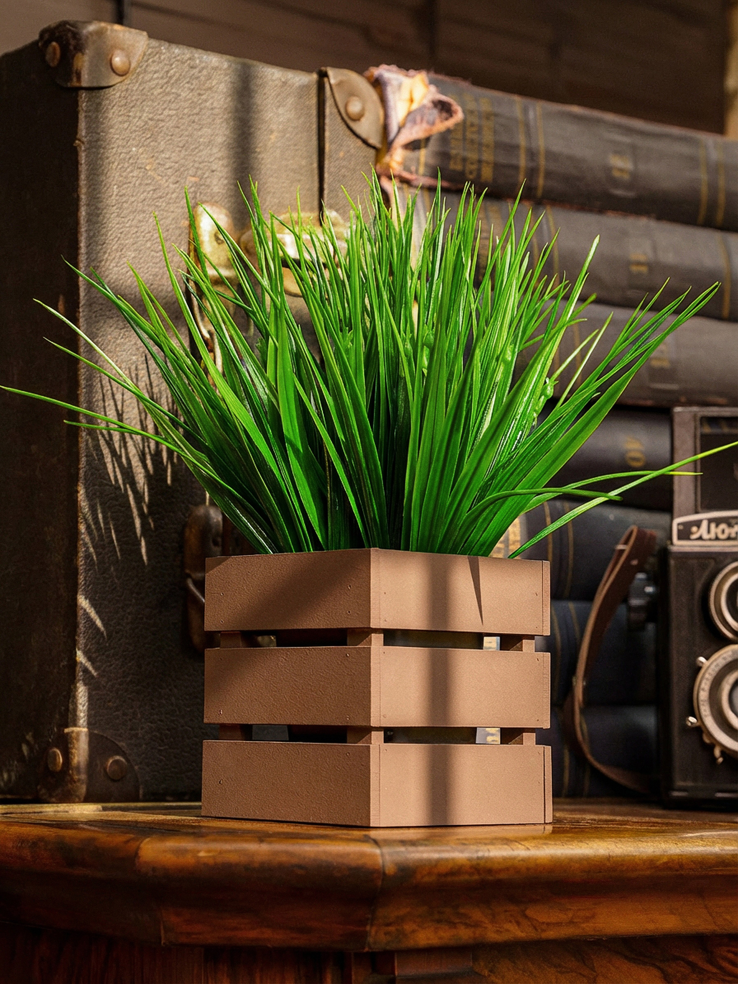 Кашпо. Макаров Сергей|Creamlebot Фотограф города Ростов-на-Дону