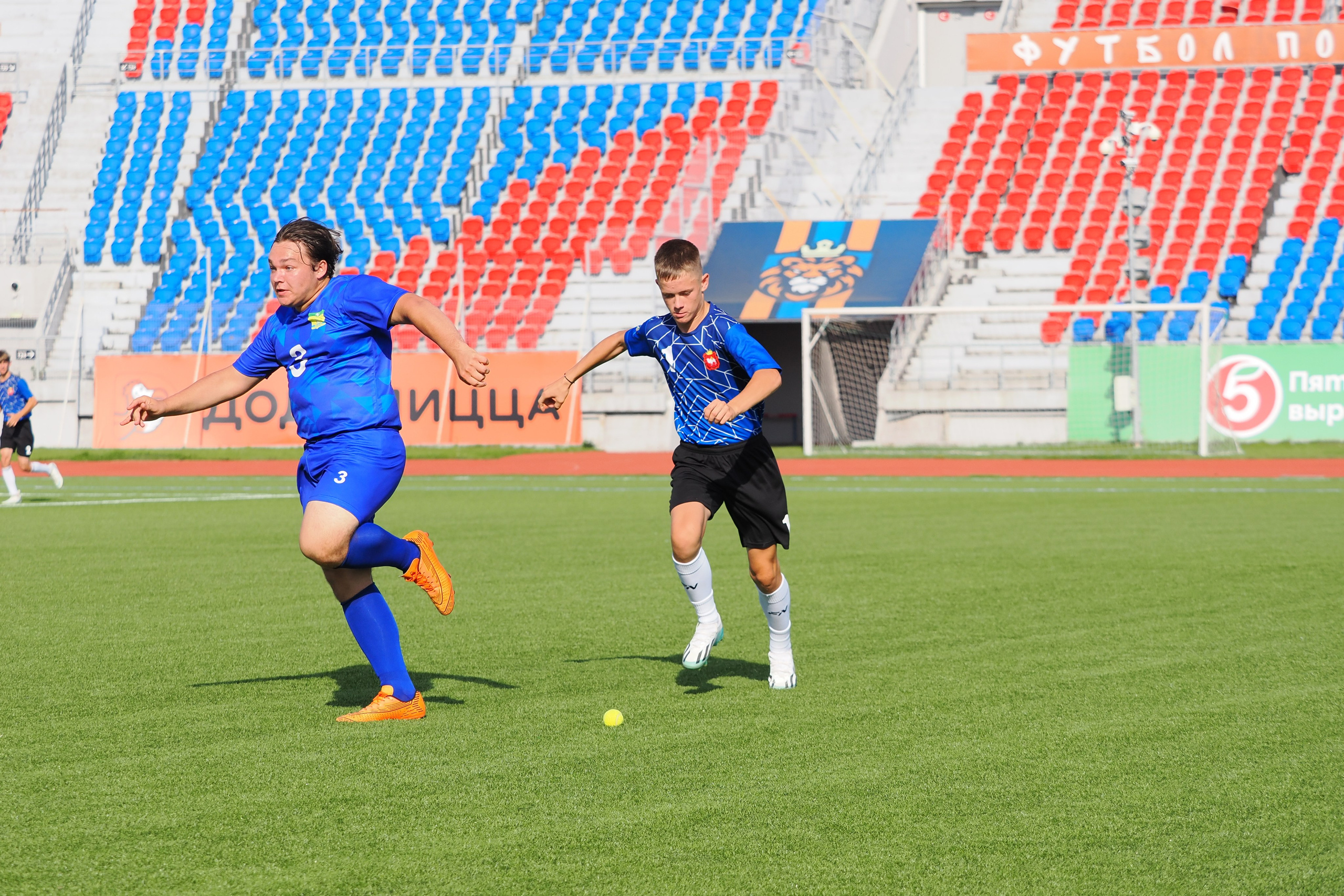 Всероссийские соревнования по русской лапте. Репортажный фотограф Алексей Козьмин