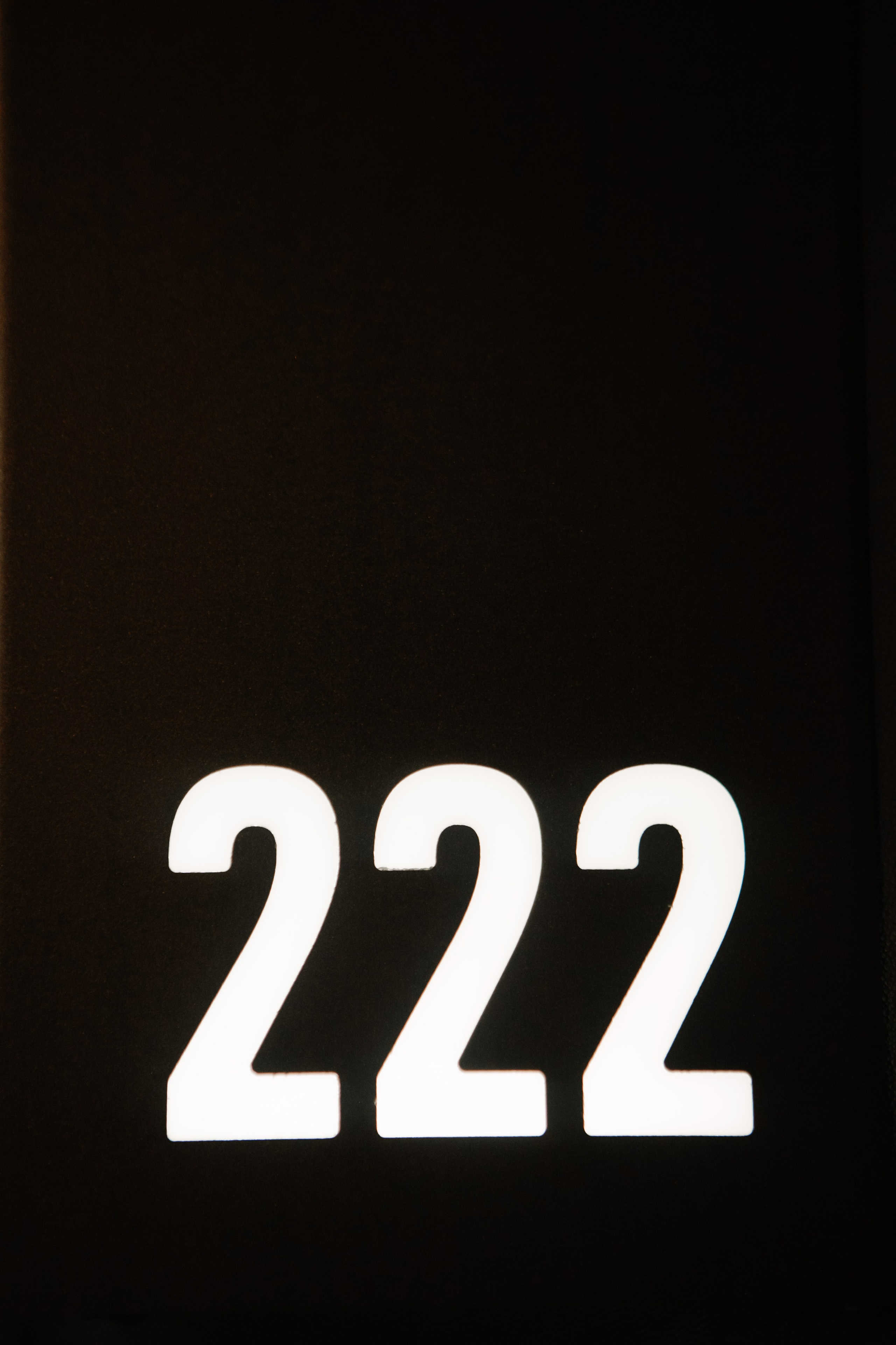 Свадьба Руслан и София. Свадебный и семейный фотограф в Элисте Лиджик Сарлов