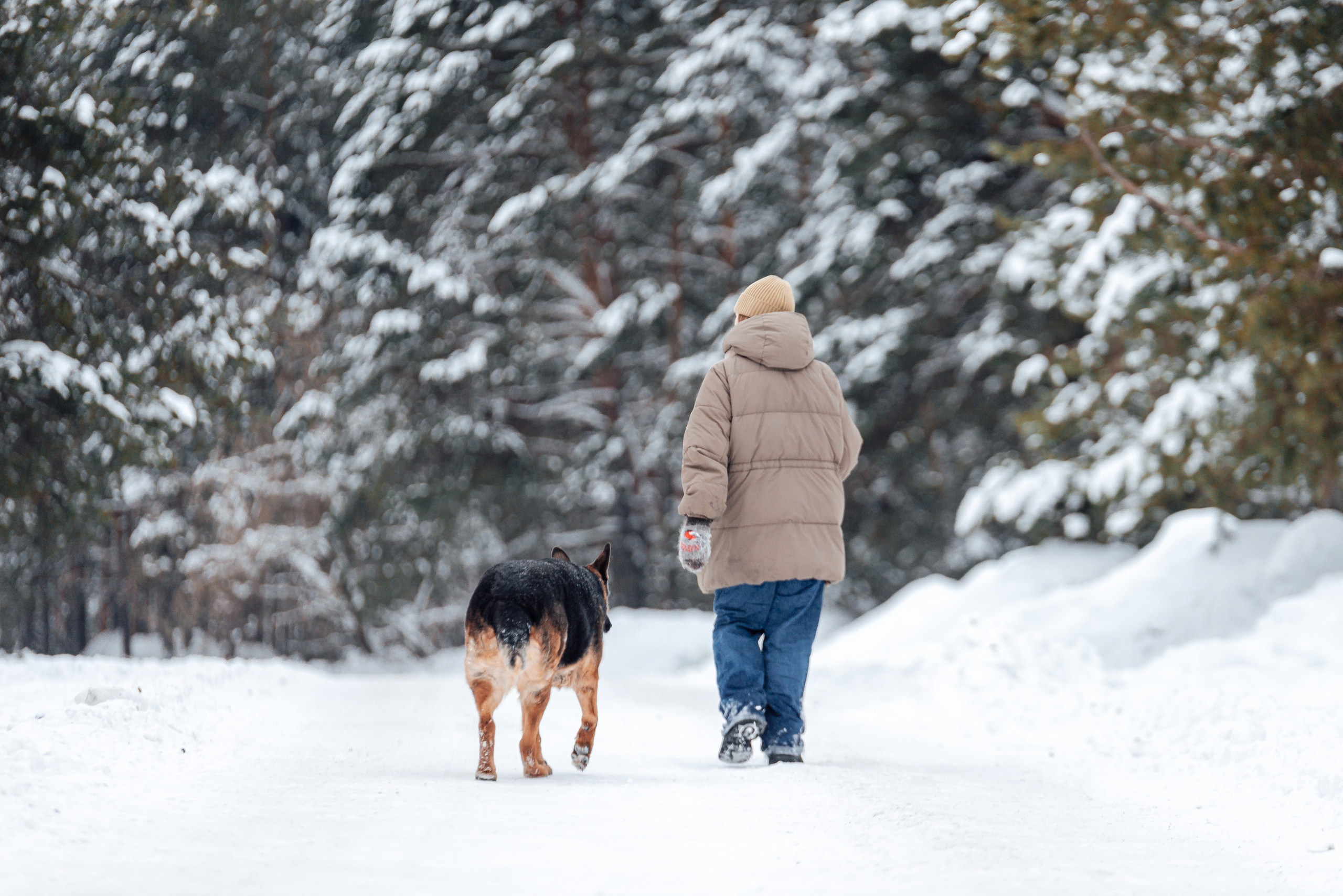 Светлана, Альфа и кошки ✨. Фотограф-анималист Анастасия Парфенова|Екатеринбург