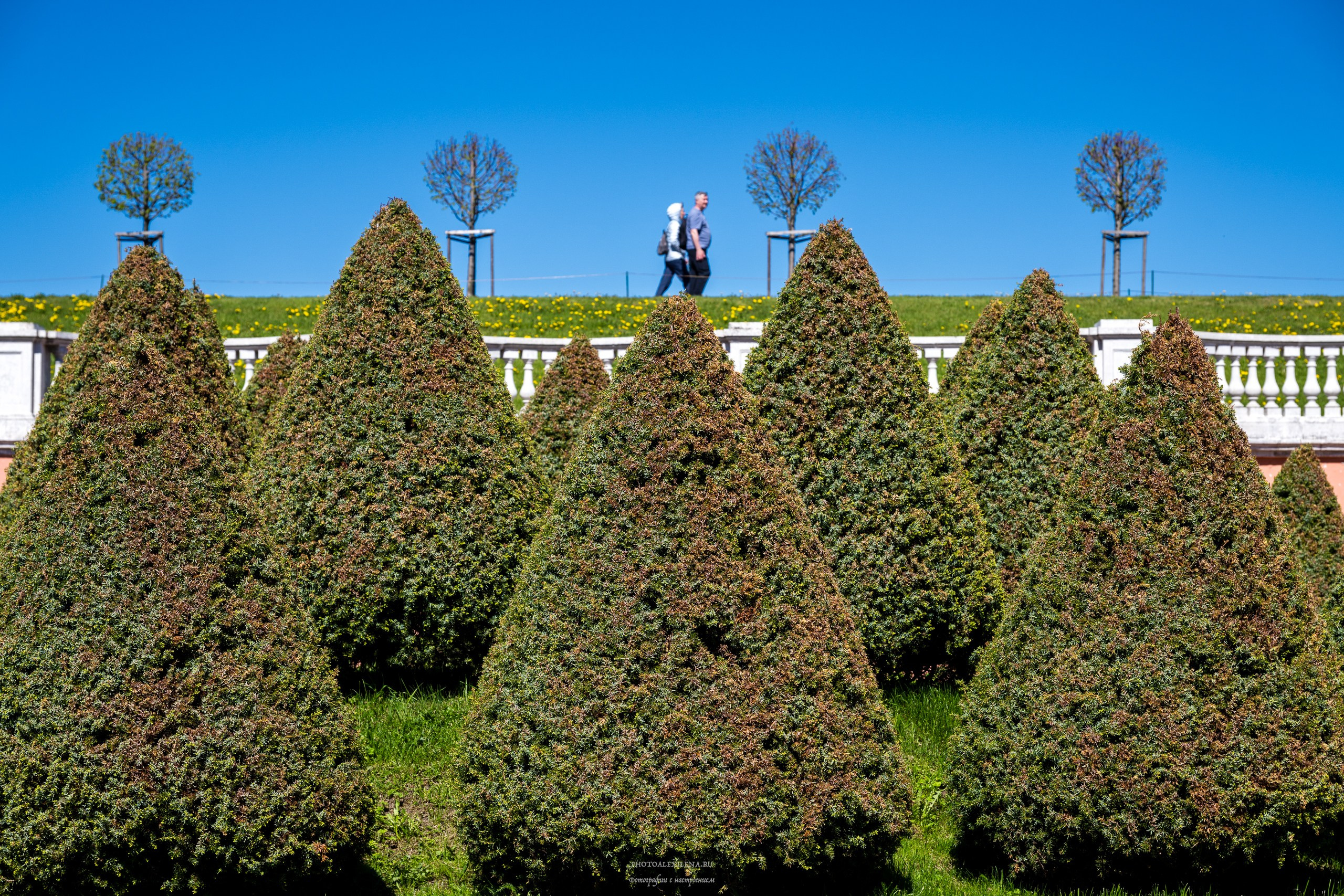 Решающий момент. Авторские стильные фотокартины