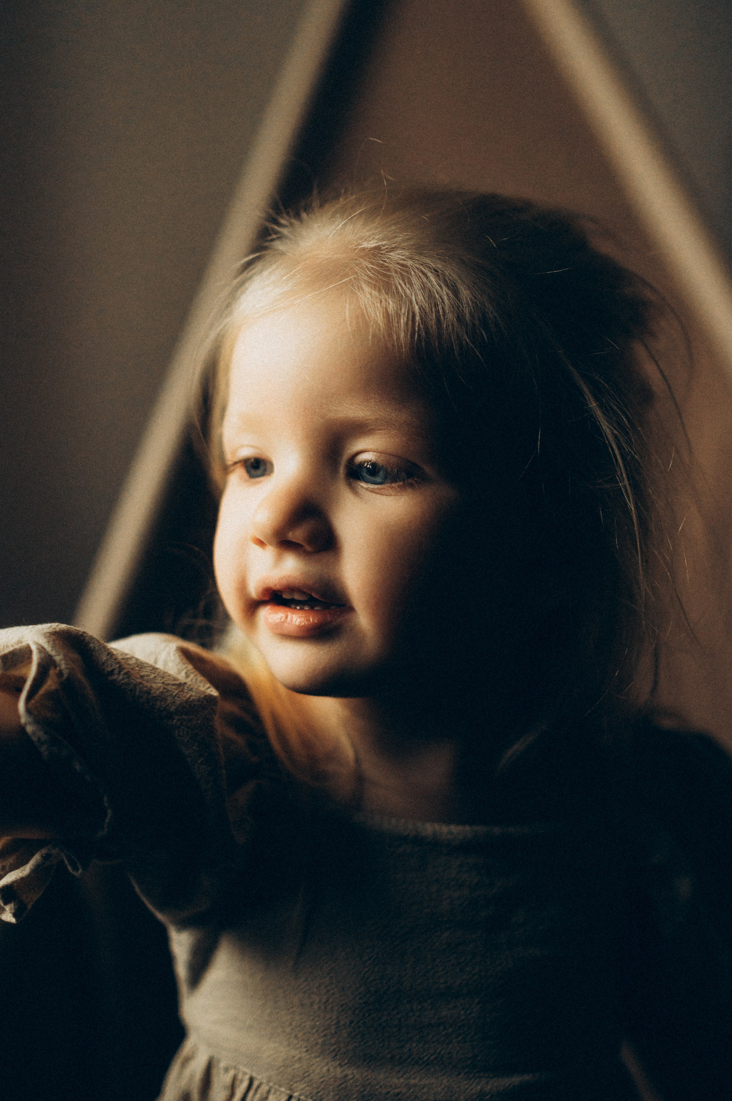 Волшебная семейная дома. Фотограф Алексин, Тула