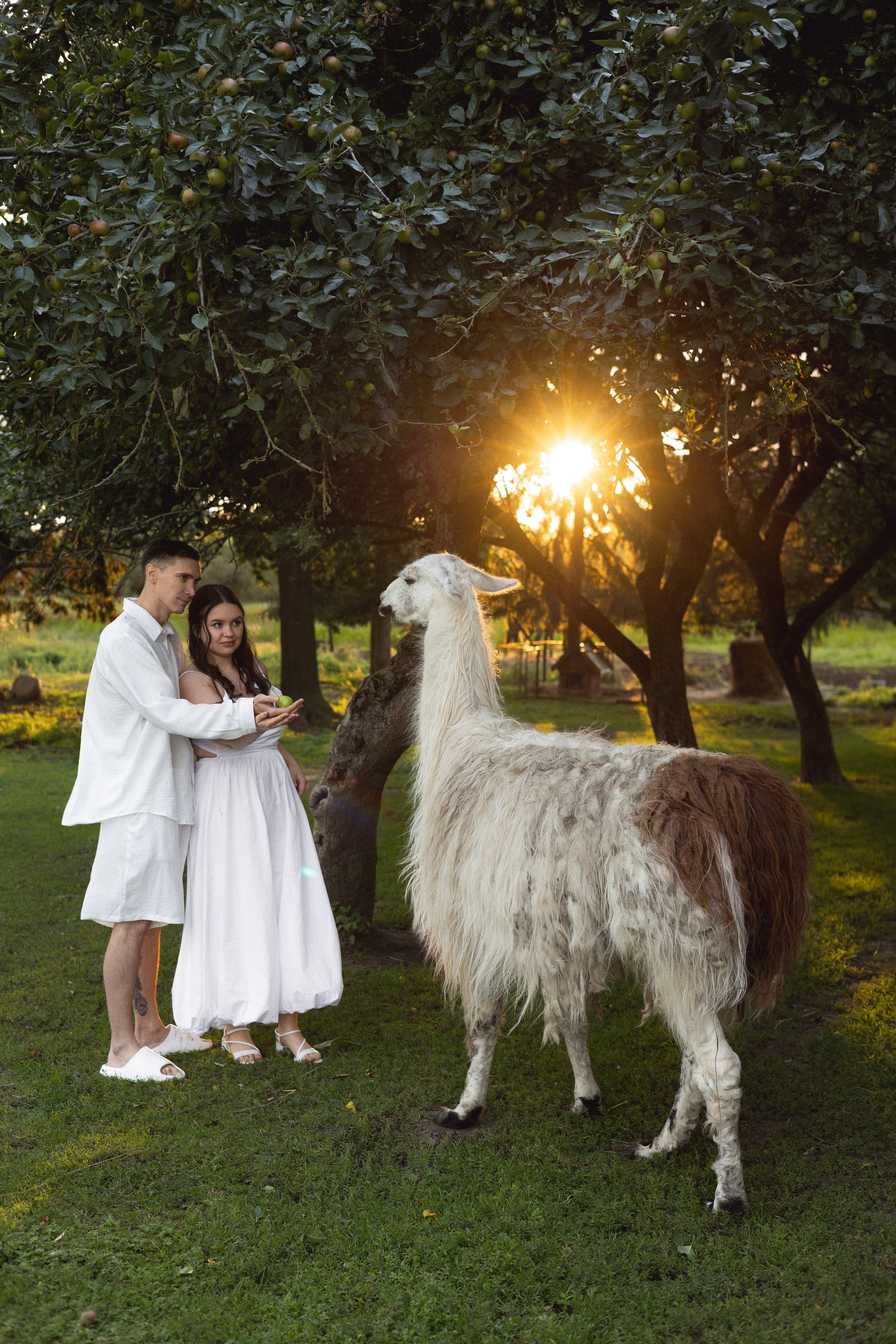 Алина & Сергей | ферма. Фотограф в Калининграде Сокирко Светлана