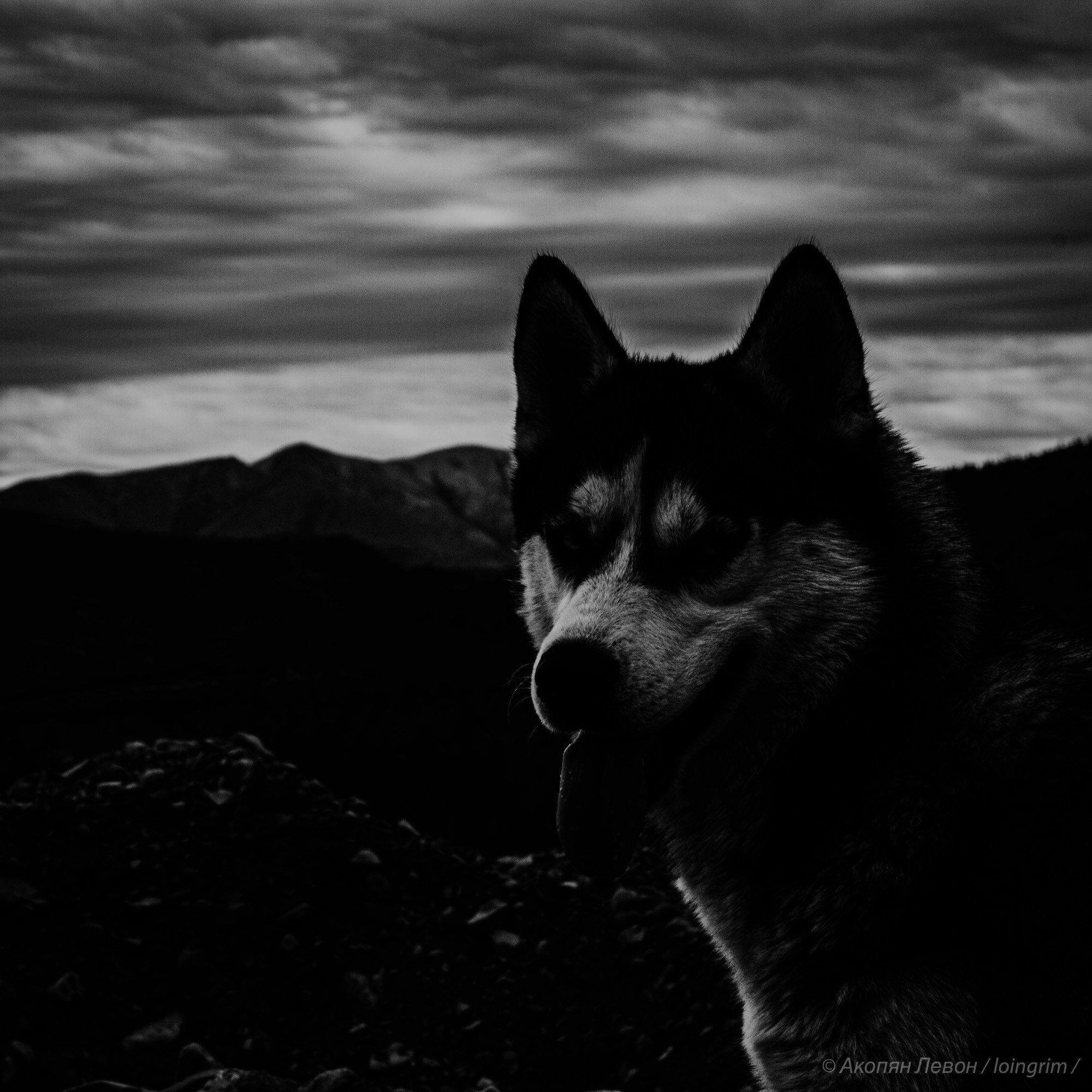 На злобу дня. Loingrim — Свободный художник. Снимаю в своё удовольствие