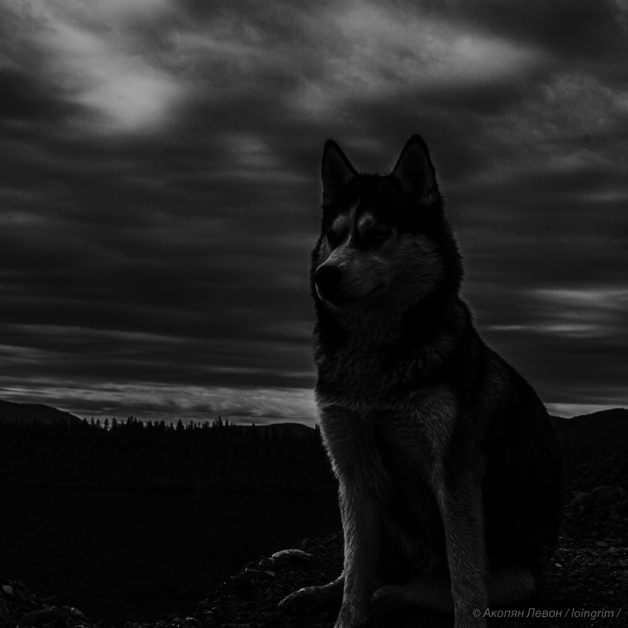 На злобу дня. Loingrim — Свободный художник. Снимаю в своё удовольствие