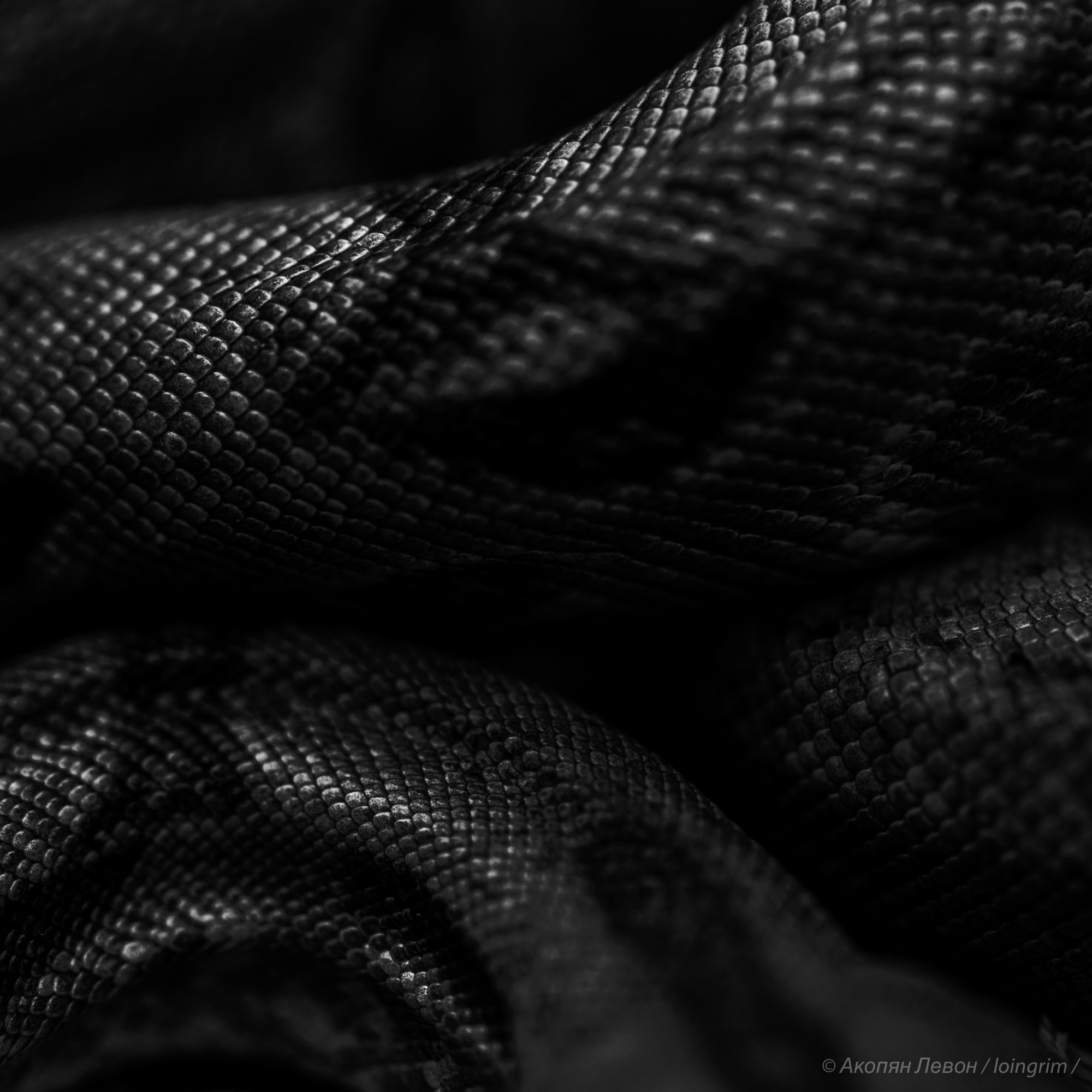 На злобу дня. Loingrim — Свободный художник. Снимаю в своё удовольствие