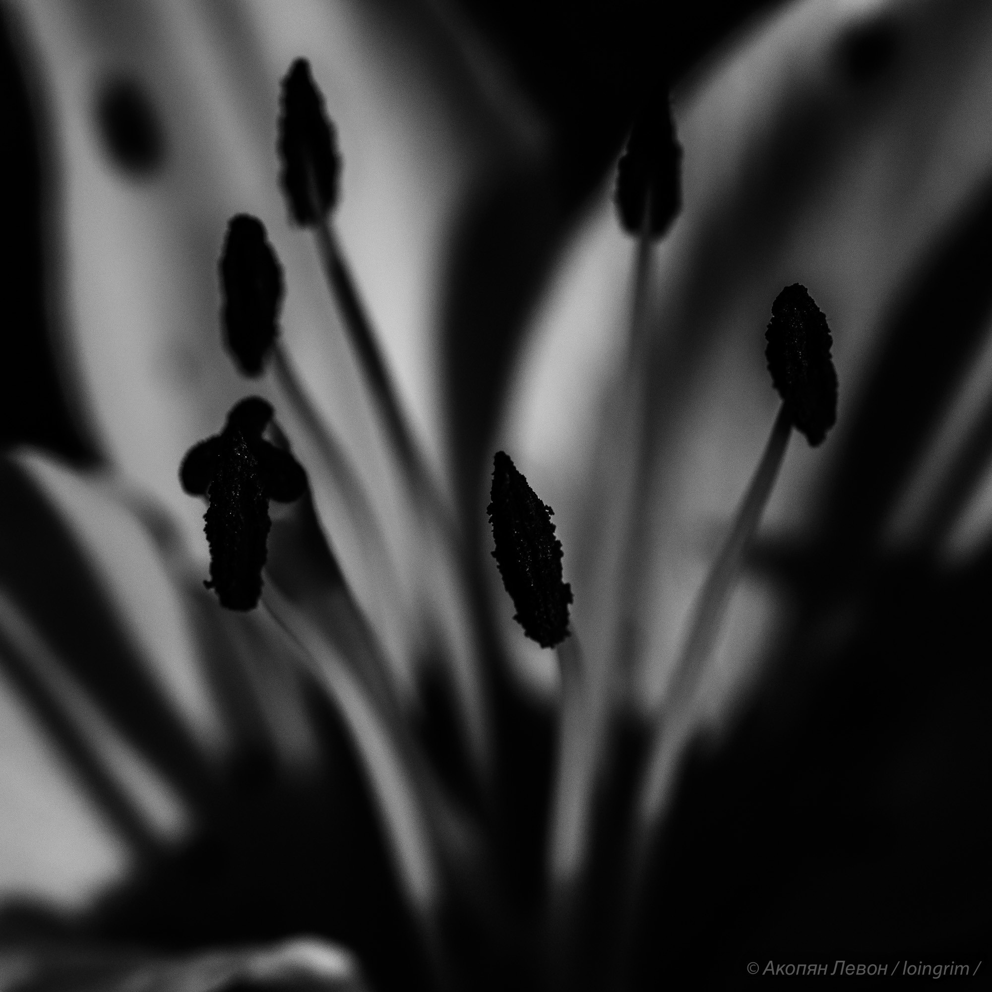 На злобу дня. Loingrim — Свободный художник. Снимаю в своё удовольствие